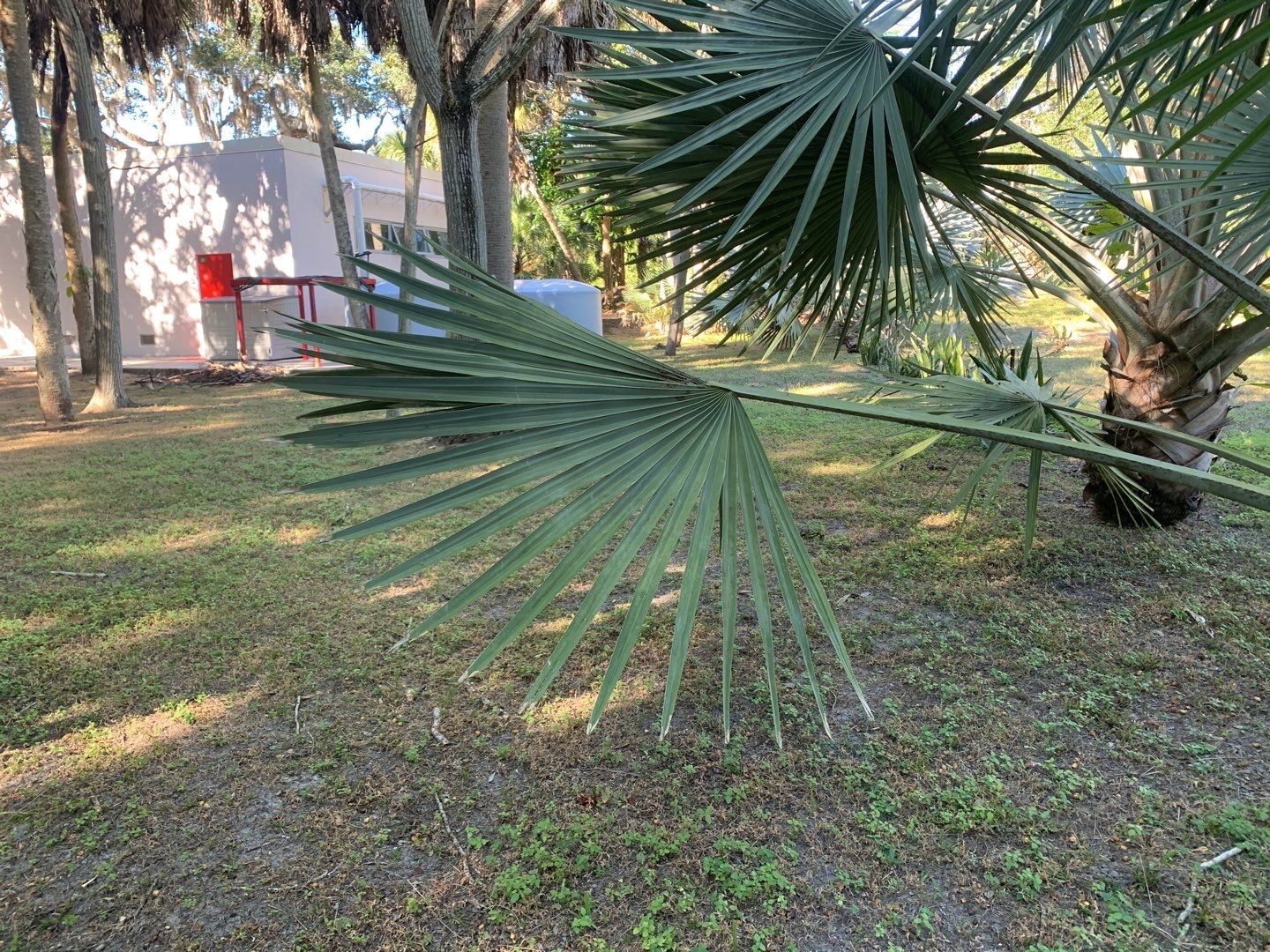 Sarasota, FL 4ft. Tall 3-Rail Aluminum Fence by Asap fence and gates, LLC