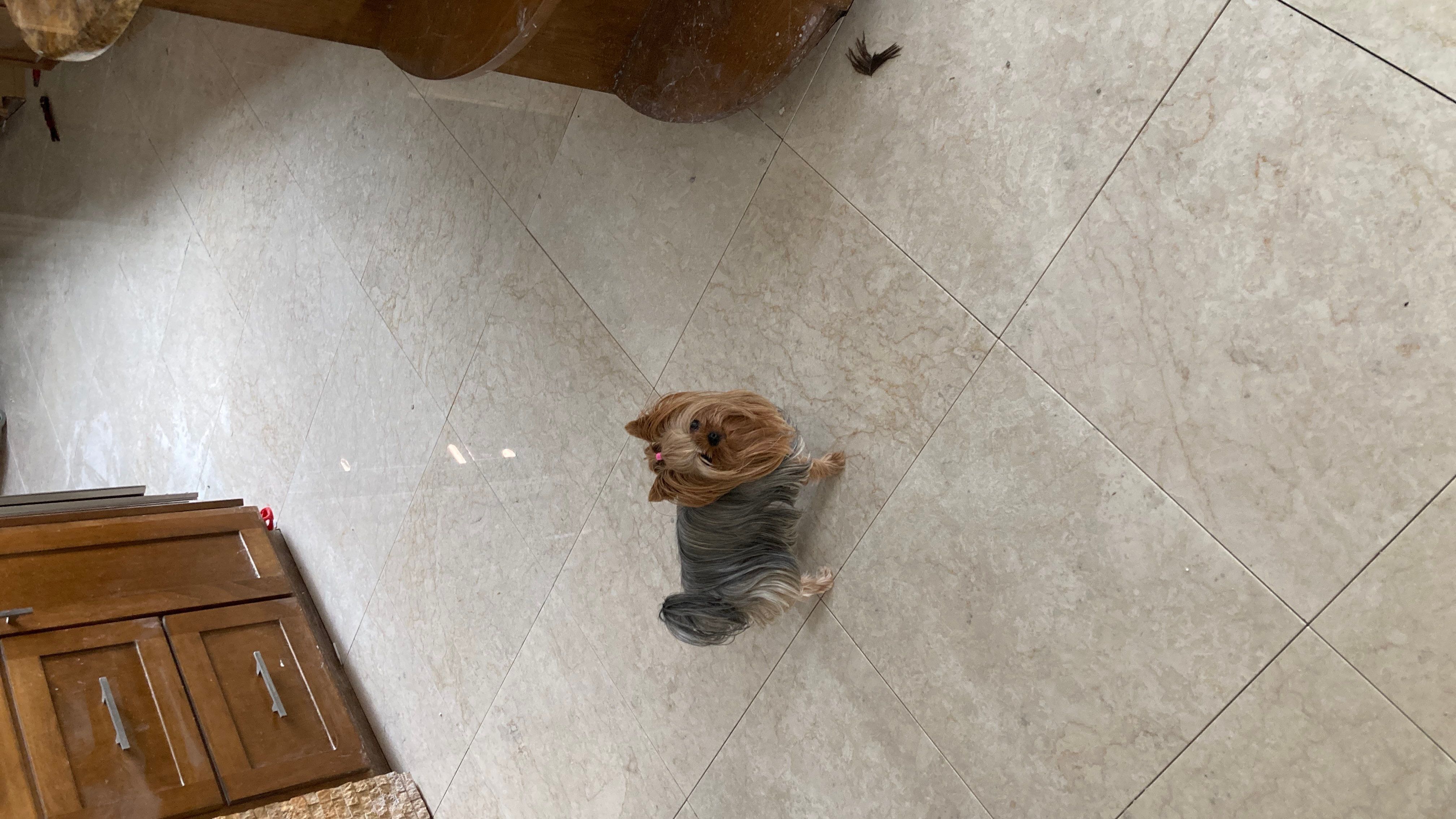 Tile Floors by Footprints Floors of Nashville