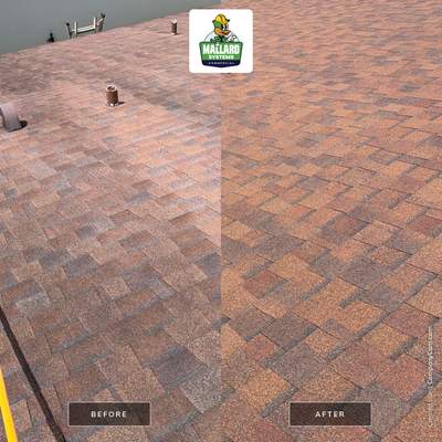Shingle Roof Cleaning in Hunters Creek Orlando