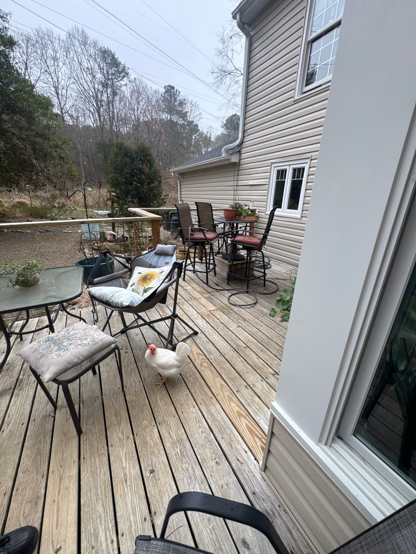 Deck staining by GonzalezPainters & Contractors Inc 
