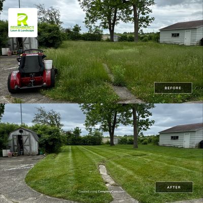 Reclaiming An Overgrown Yard