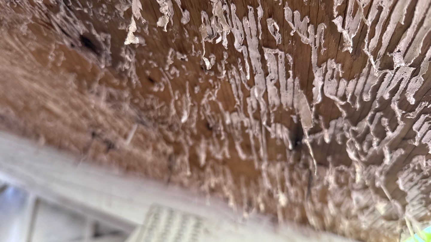 Roof Replacement using Owens Corning Desert Rose by 180 Contractors