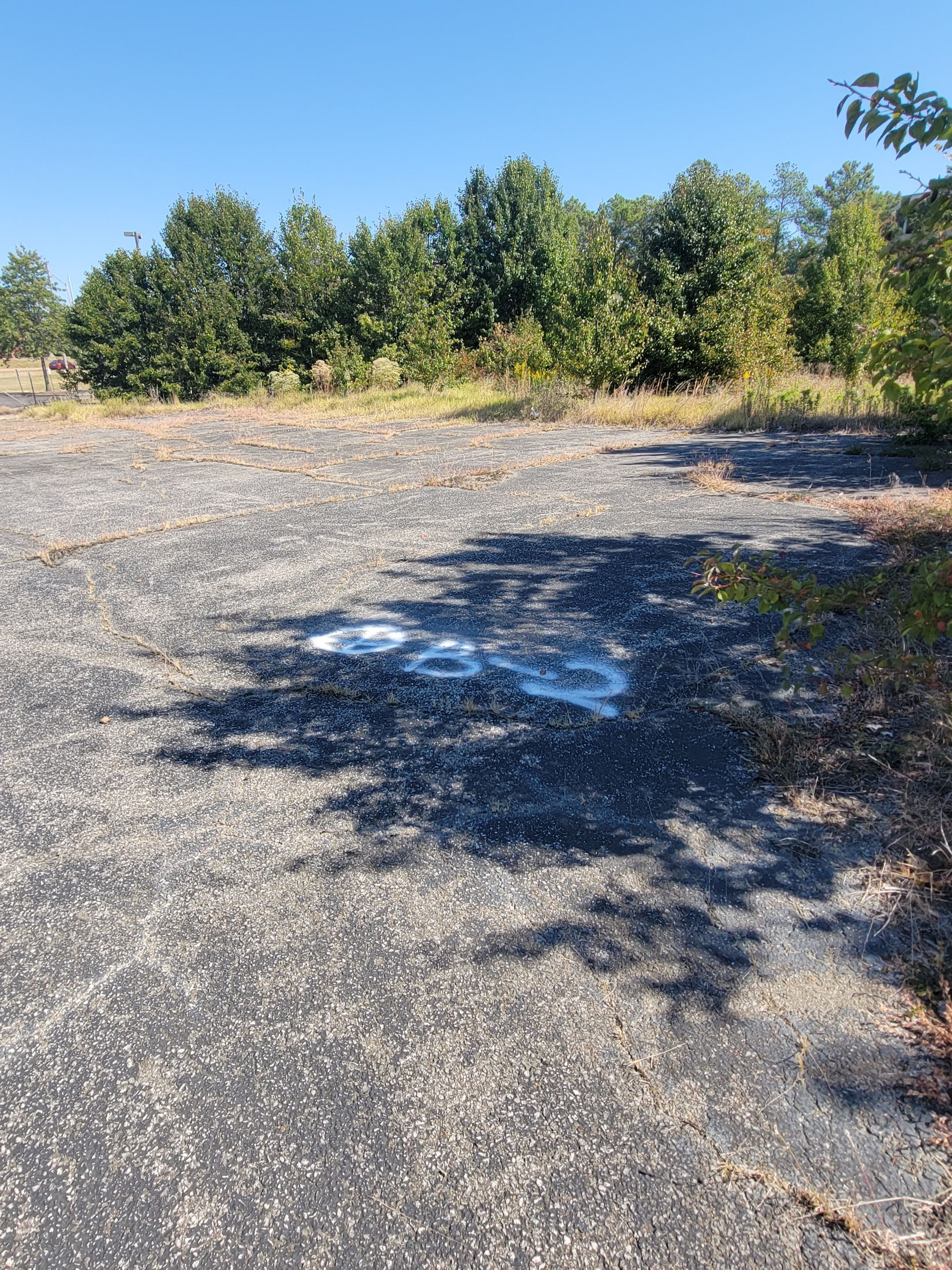 Soil Boring Locations by Alsip Locating Service, LLC