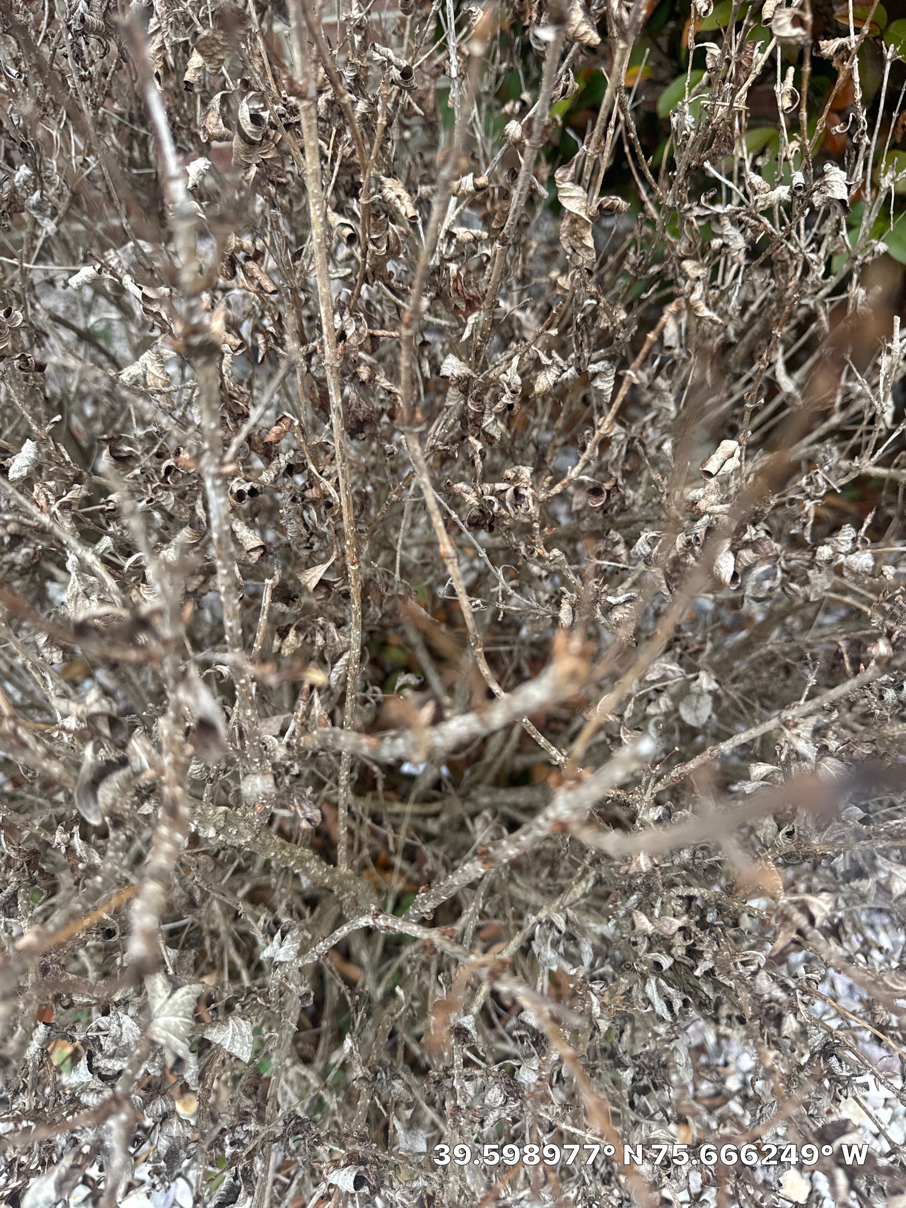 Project in Bear by Studio G Indoor Spaces & Outdoor Living