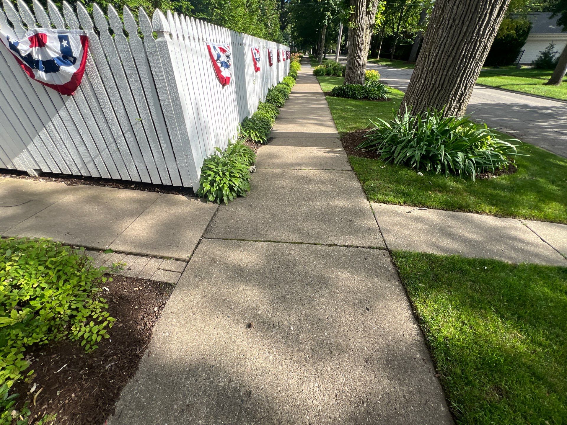 concrete cleaning using Algaecide, soft wash soap by Northern Power Washing LLC.