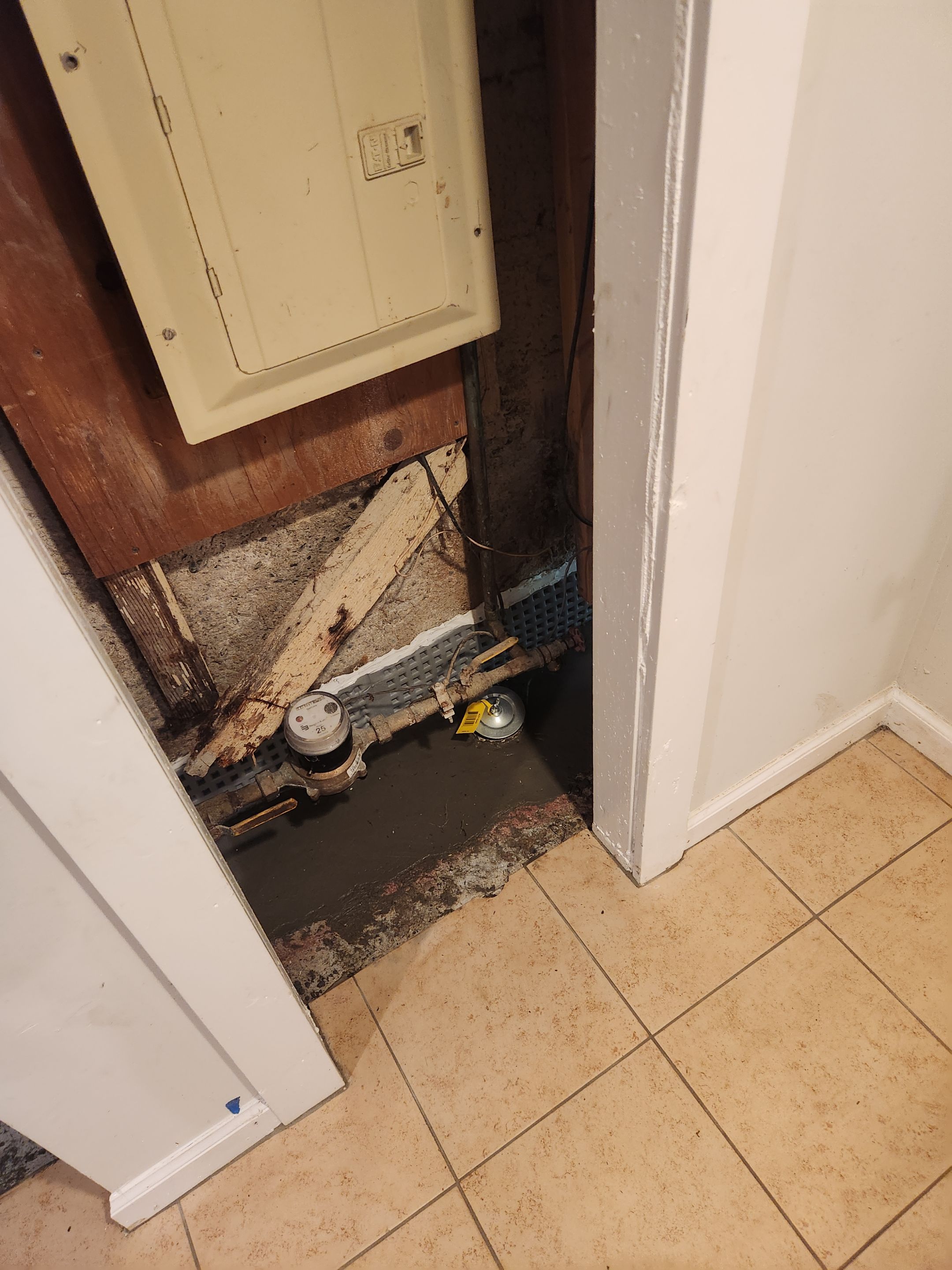 Interior French Drain Newton NJ by Pure Service Pro, LLC 