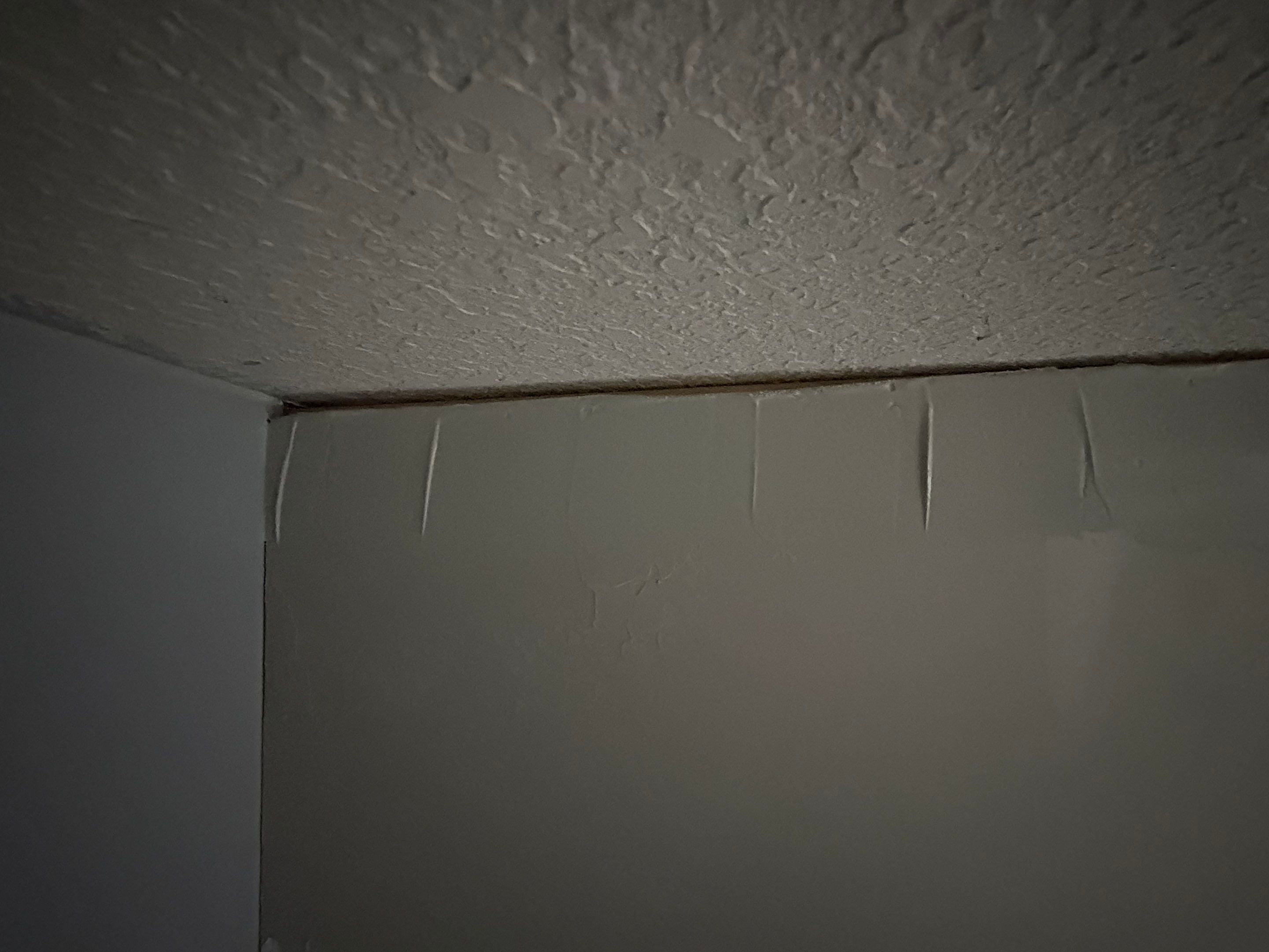 Project in New Haven by Townsend Design & Renovation LLC