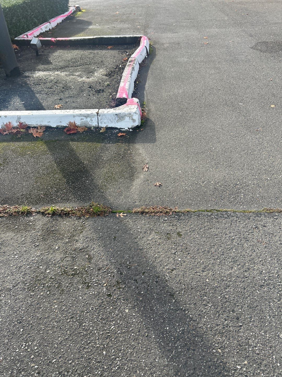 Lakeshore Investment | Parking Lot Repaving | Asphalt Project by Jireh Asphalt & Concrete Inc 