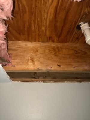 Sewage Backup Cleanup — Pensacola, FL