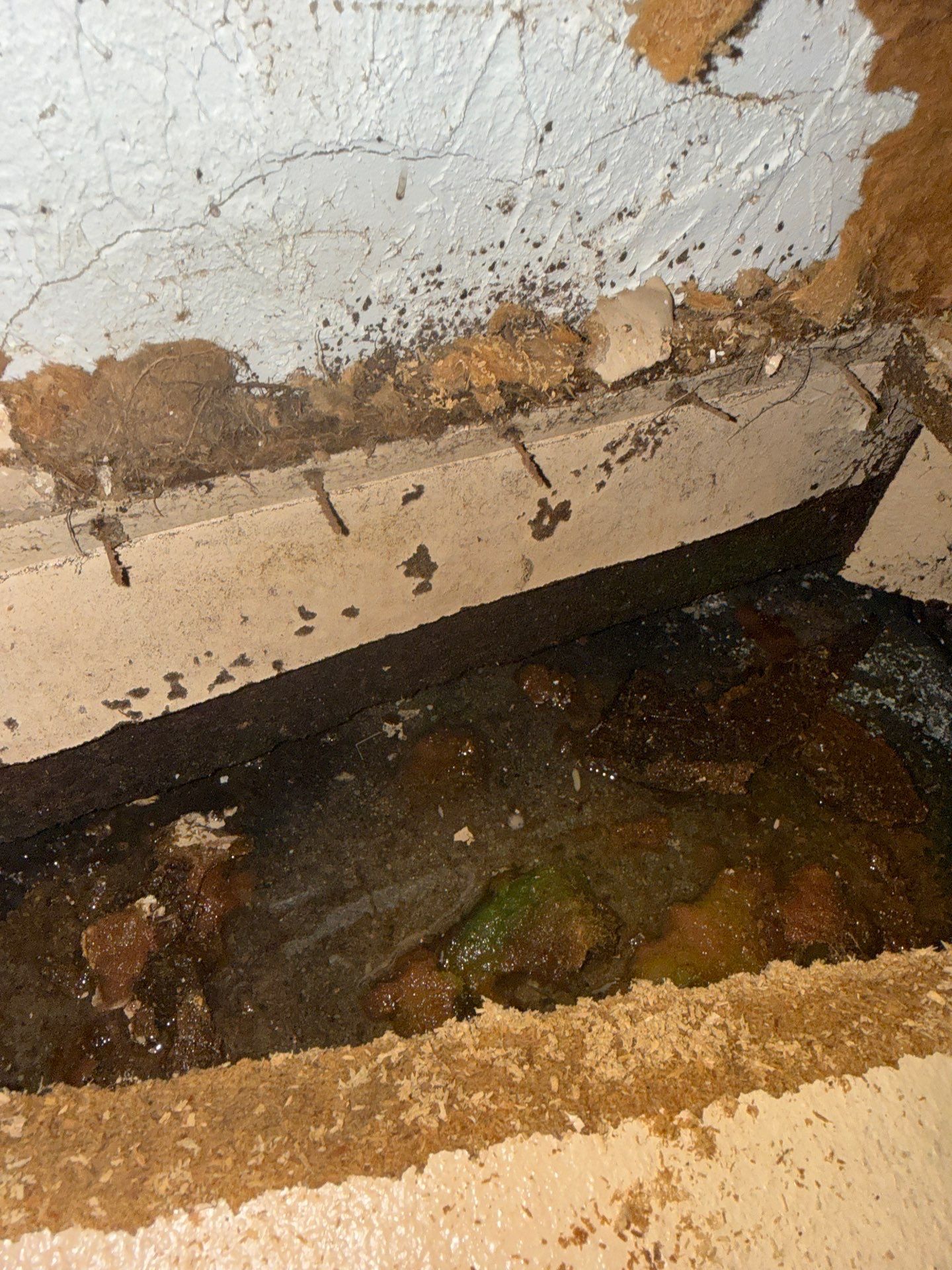 Project in St. Petersburg by Bay Coast Restoration 