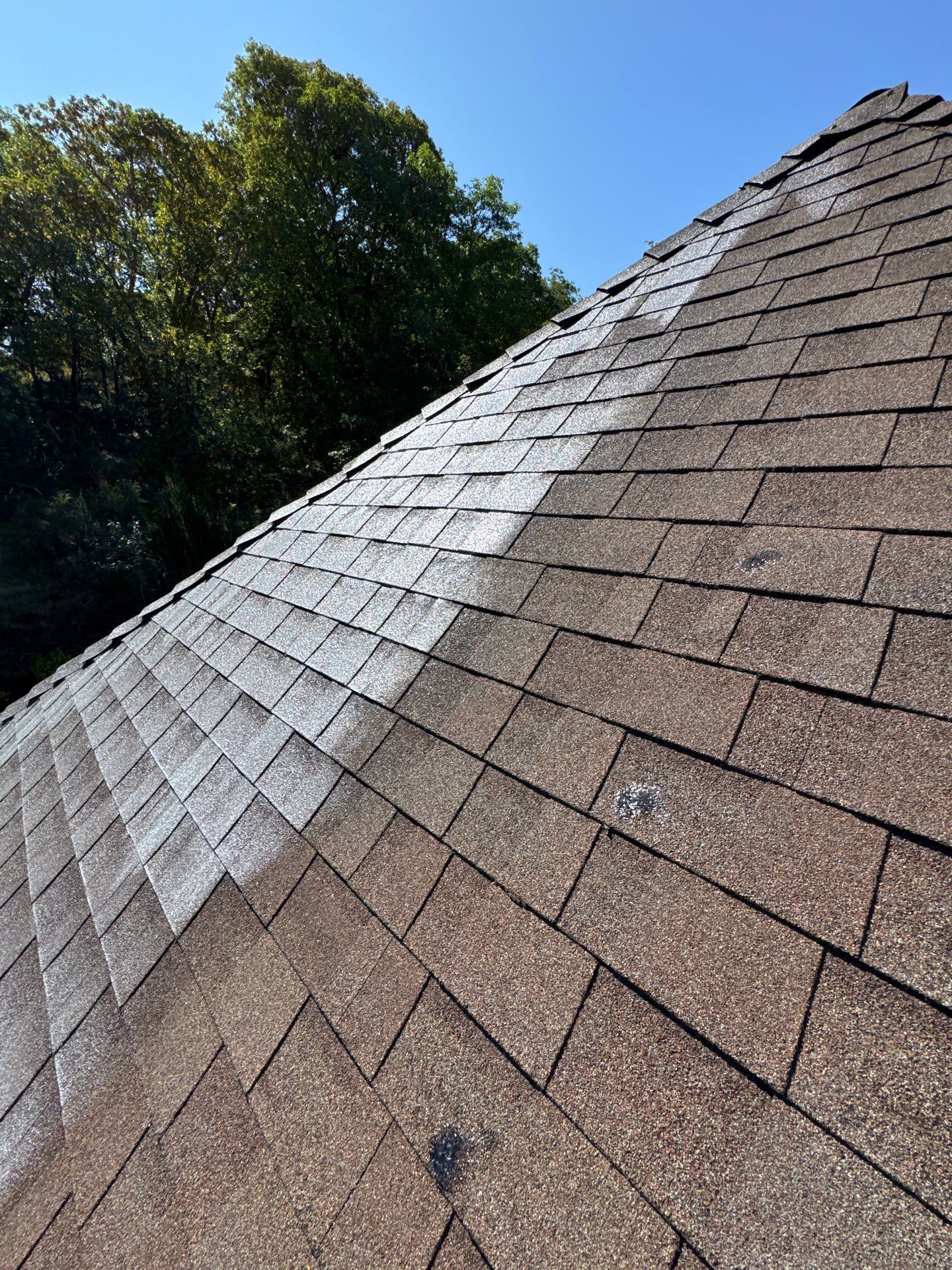 Project in Grants Pass by Roof Maxx of Grants Pass