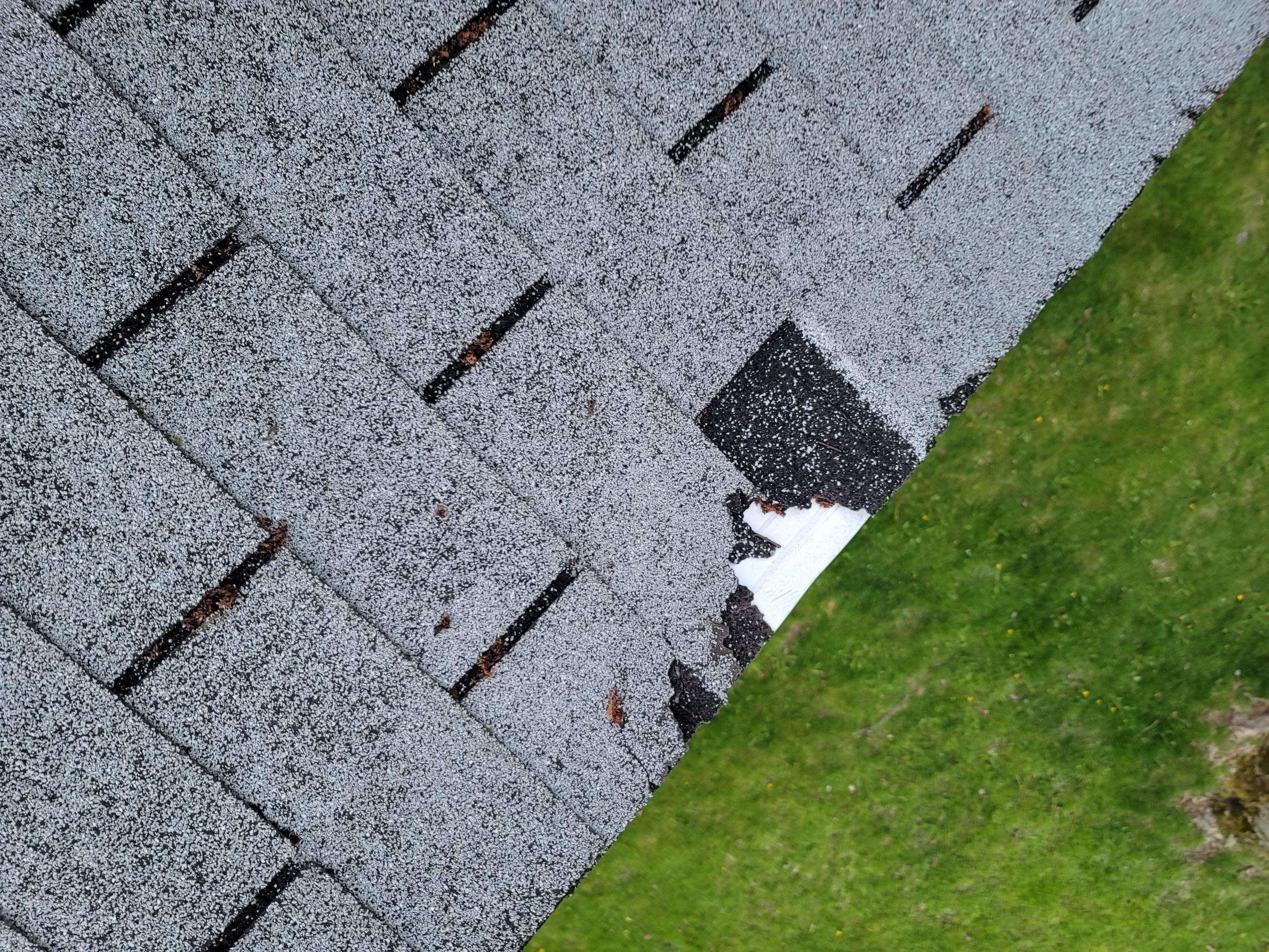 ATLAS PINNACLE SCOTCHGARD COLOR: PEWTER DRIP EDGE: BLACK by Eagle Eye Roofing