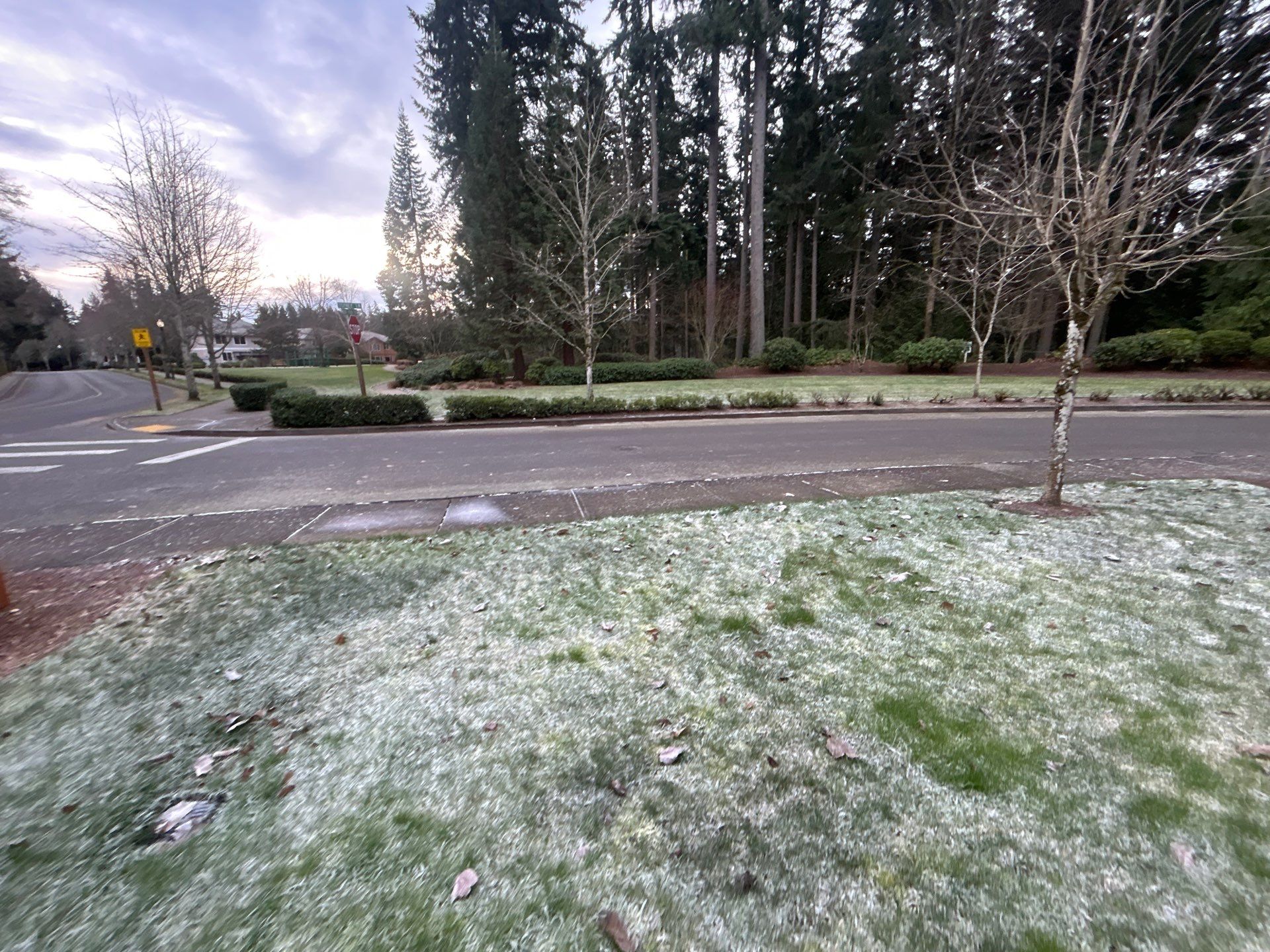 Project in Mukilteo by Peaks and Valleys Construction