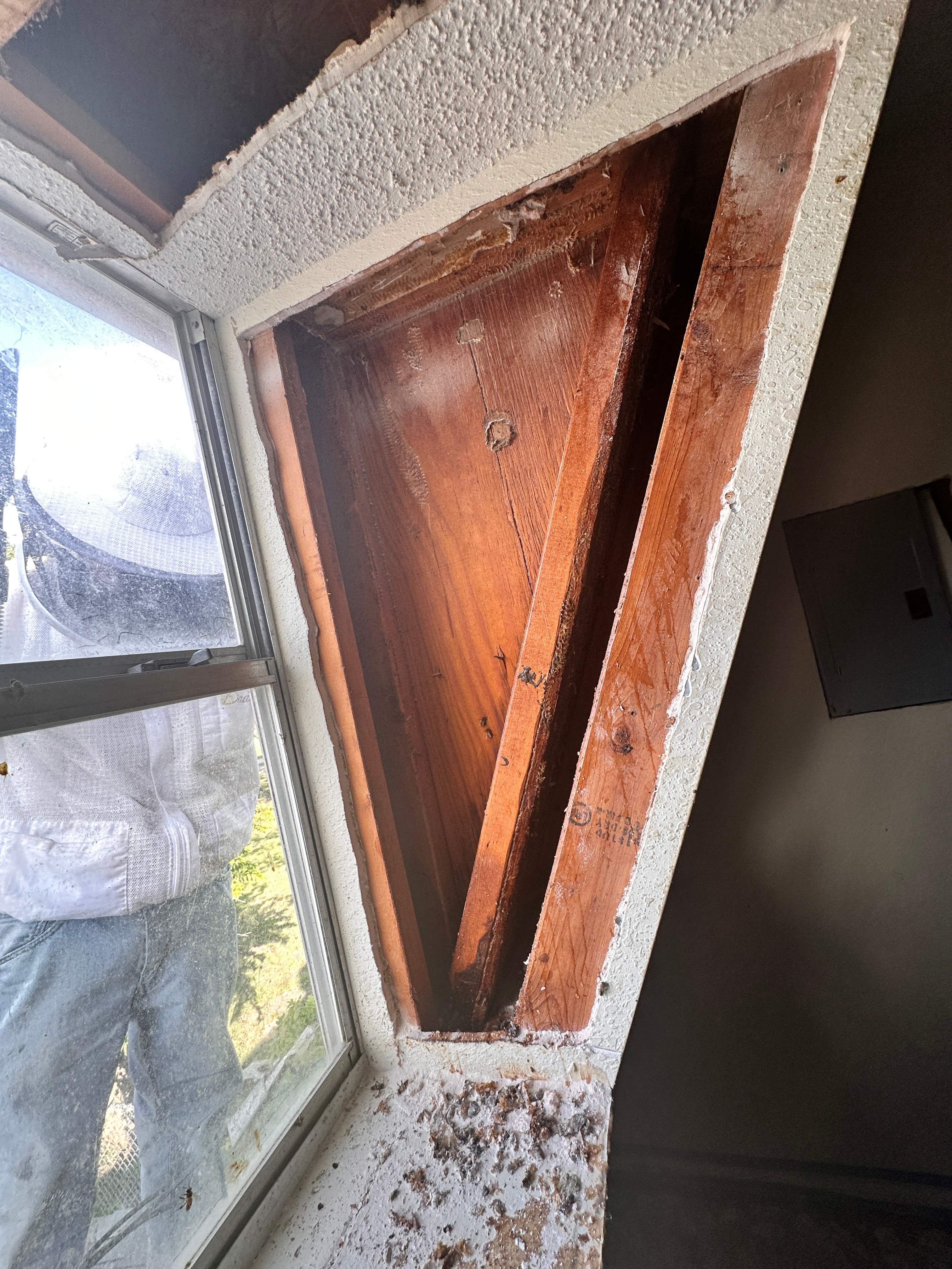 Sheetrock Bees by Rockwall Honey Bee Company