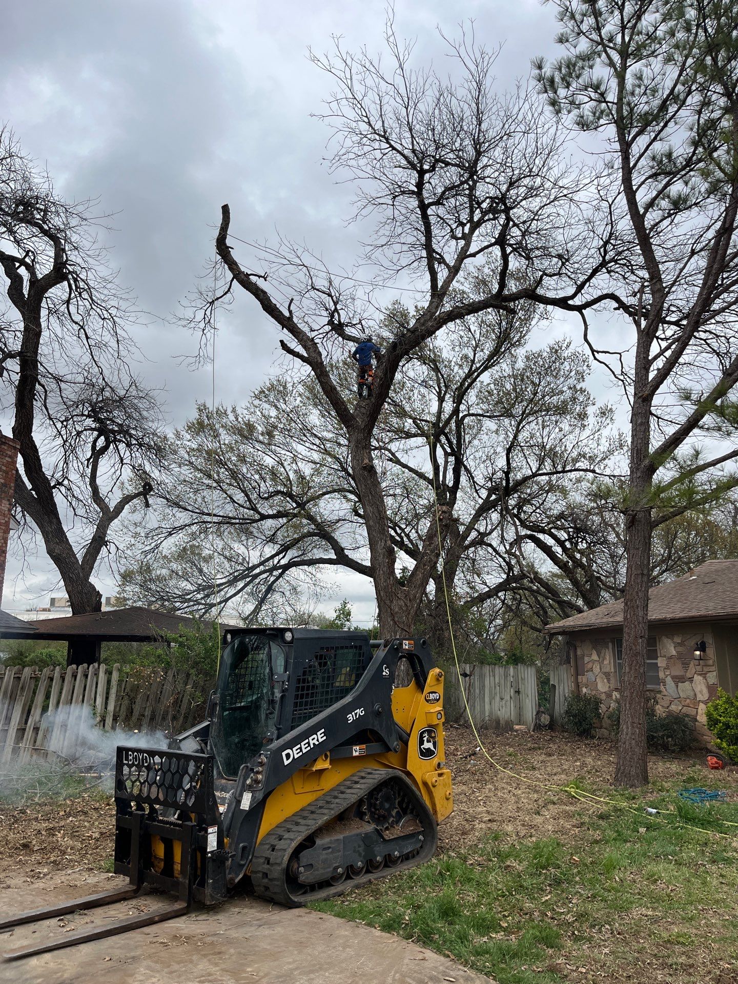 Tree Removal by Clays Services Inc