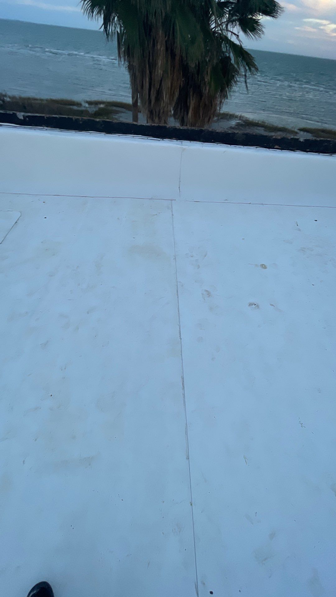 Problems in Paradise  by Bayfront Roofing and Construction