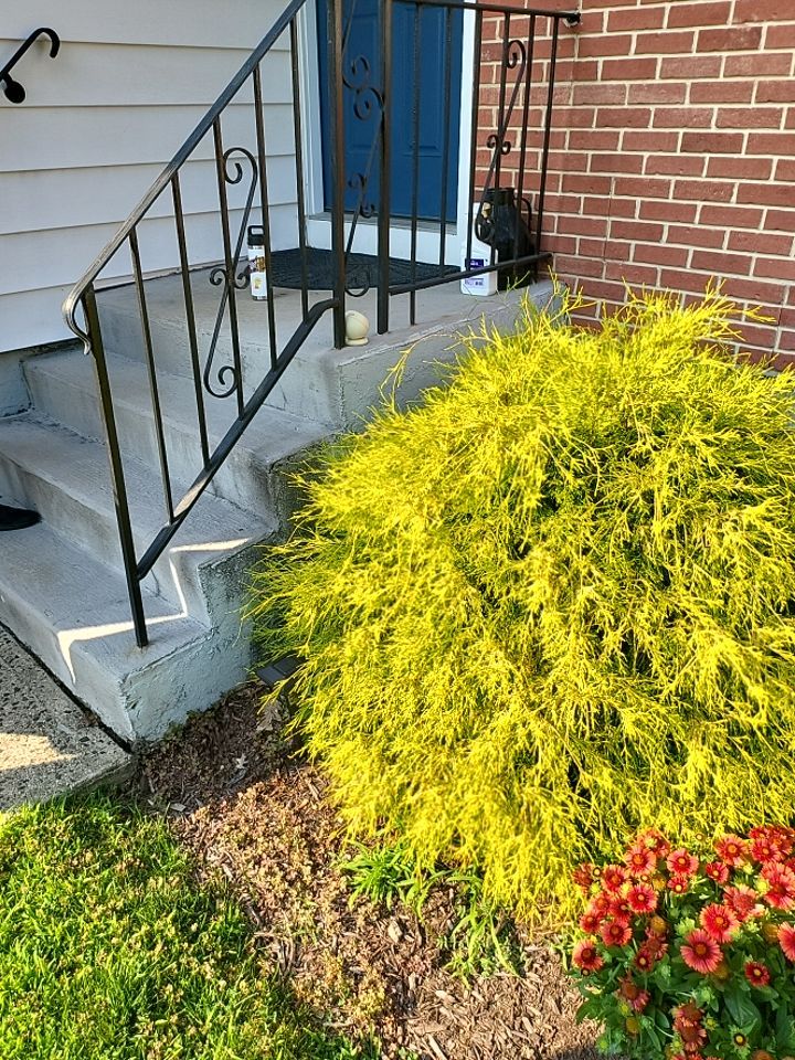 Siding Installation using Certainteed Monogram Forest Green by A Plus Exterior