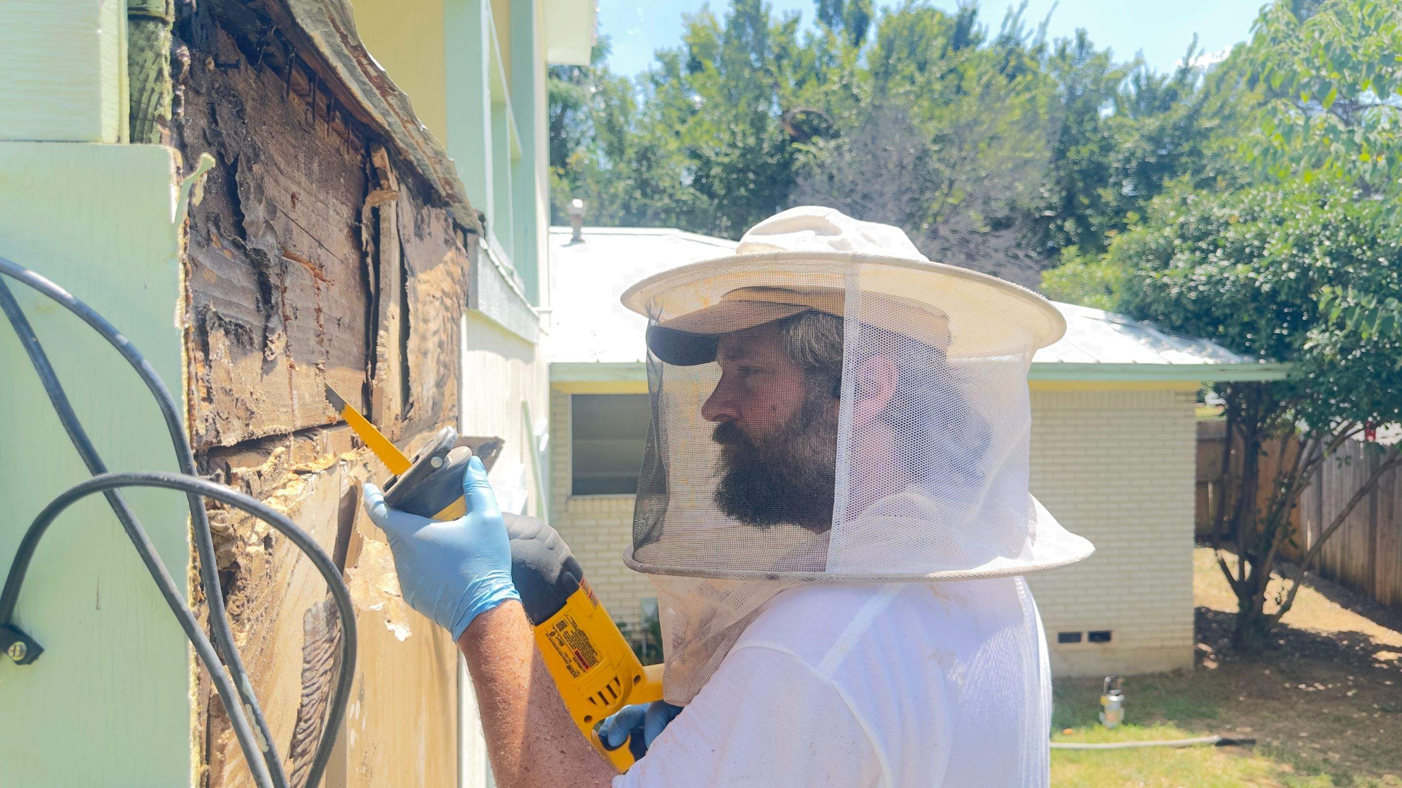 Walled in by Rockwall Honey Bee Company