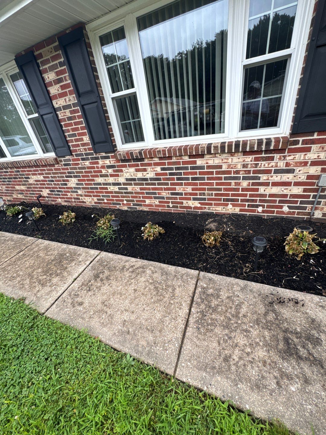 Residential Cleaning by SJ Exterior