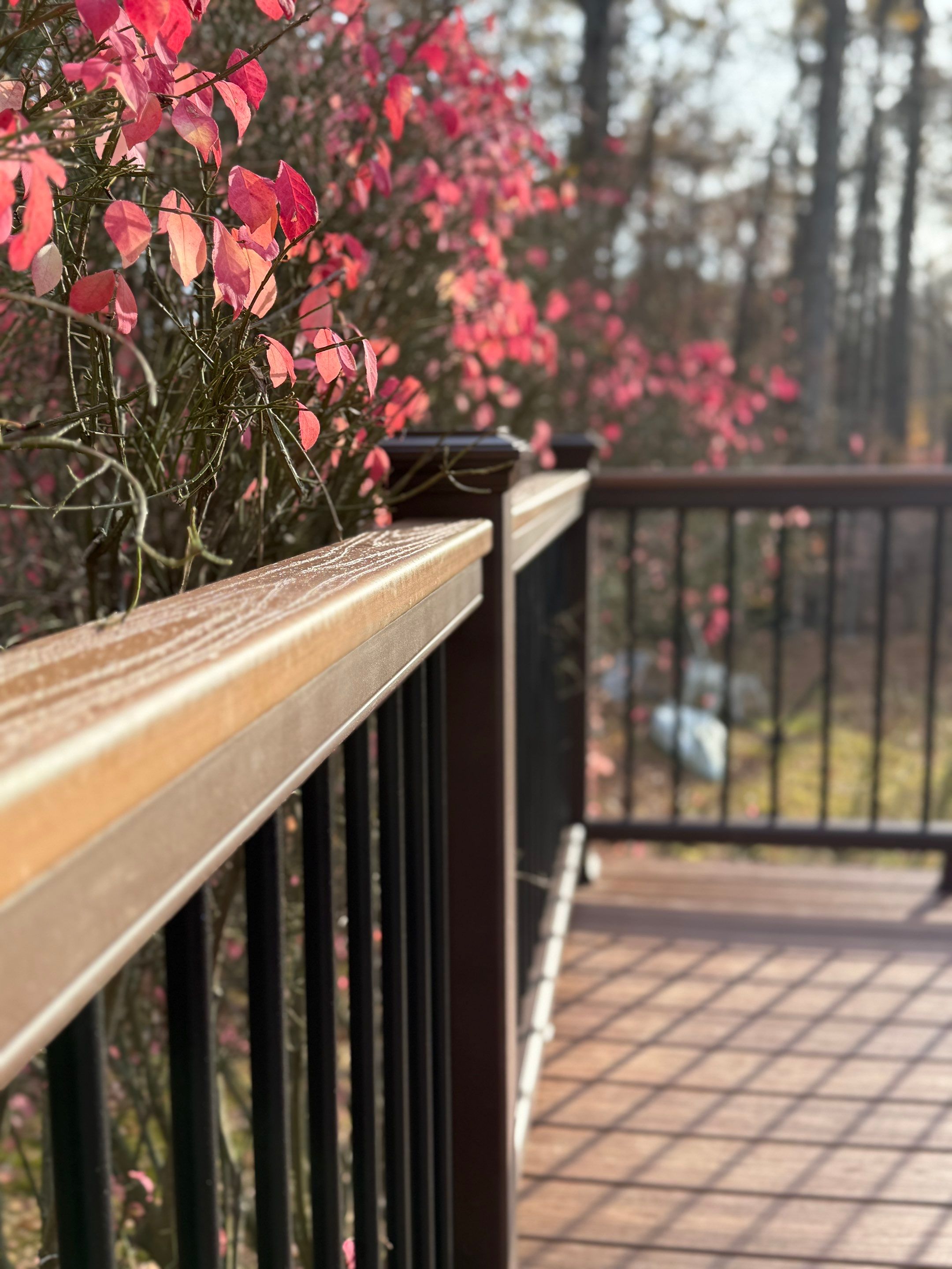 Replacement deck with Trex Tropical Tiki torch and Transcend Cocktail railings in vintage lantern. by DiGiorgi Roofing and Siding Inc