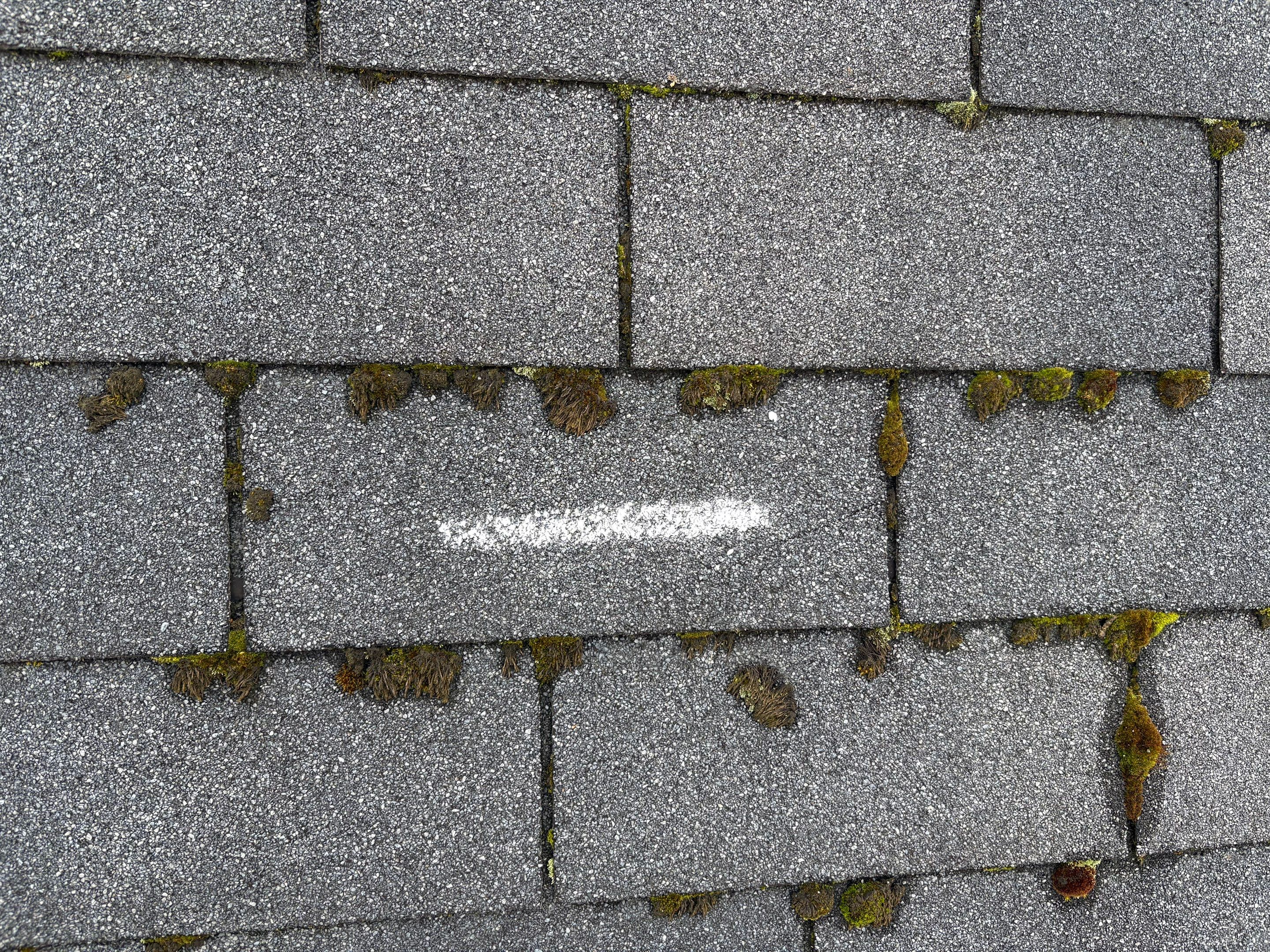 GAF Timberline NS, Charcoal  by Proline Roofing & Restoration LLC