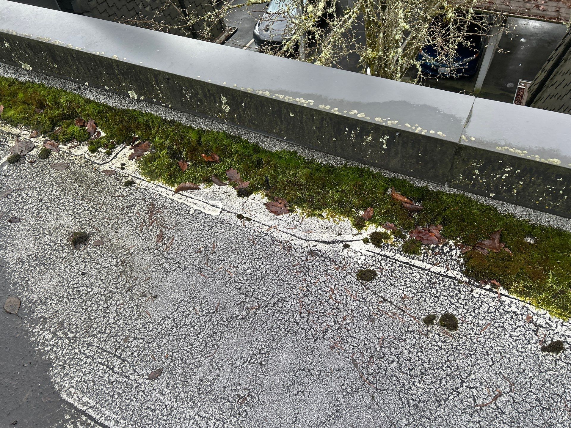 Project in Kirkland by Connolly Construction Company