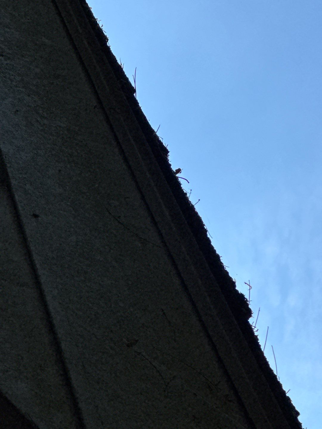 "Lightning-Fast Roof Replacement & Expert Flashing – Customer Delighted!" by Sensible Home Solutions