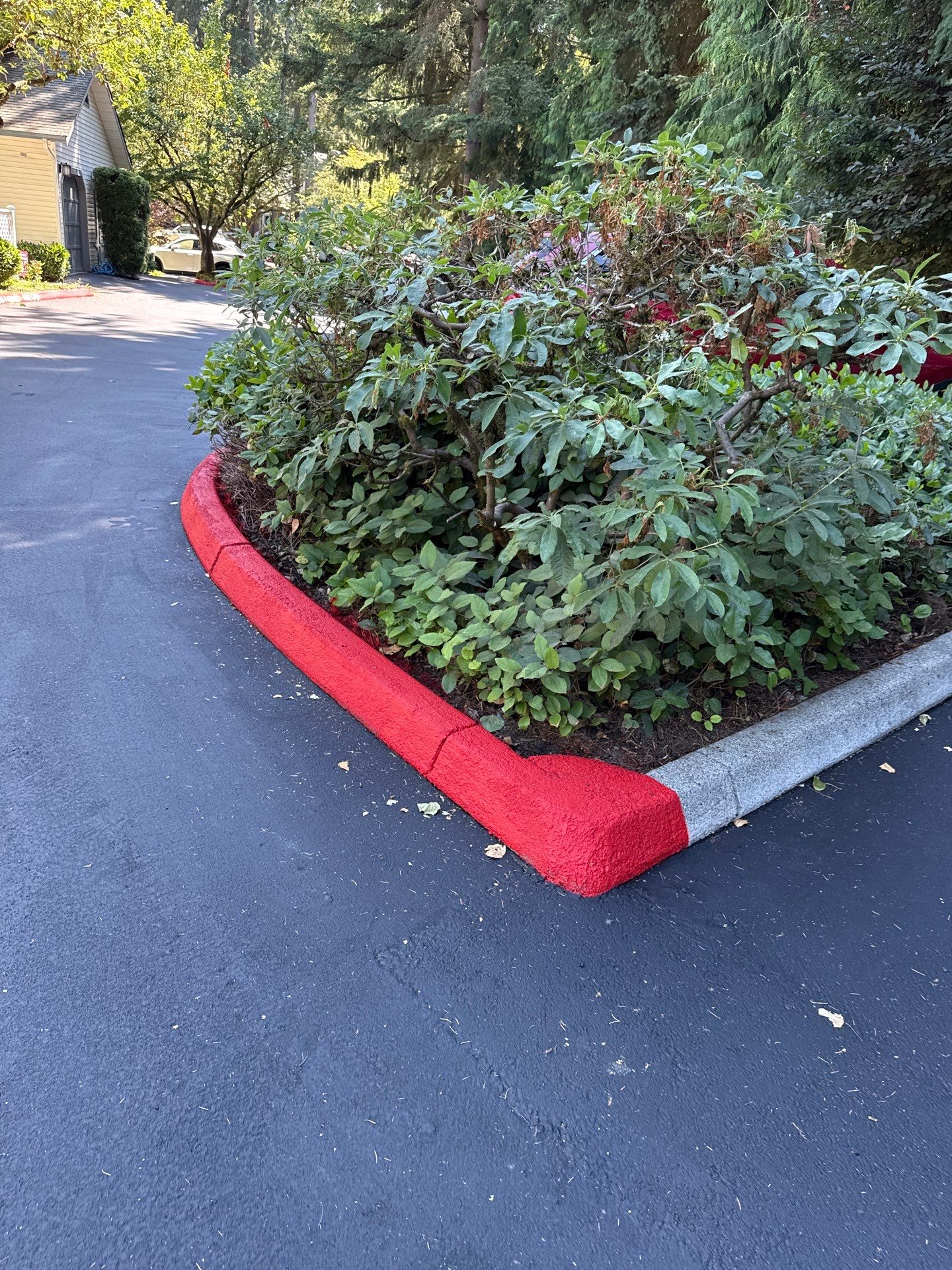 Curb Repaint | Seattle  by Jireh Asphalt & Concrete Inc 
