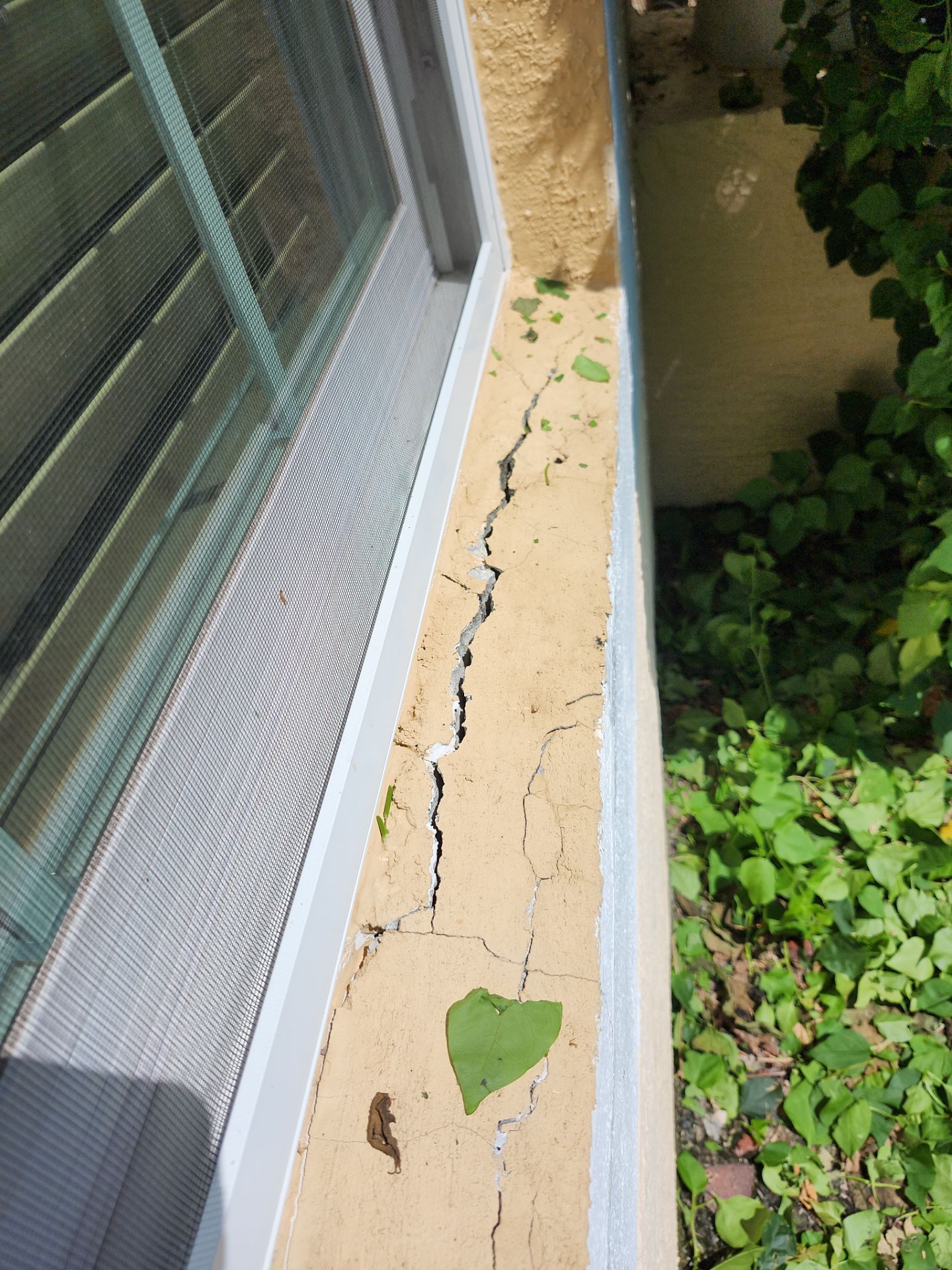 Project in Tampa by Sunbelt Home Solutions