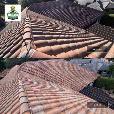 Barrel Tile Roof Cleaning in Windermere