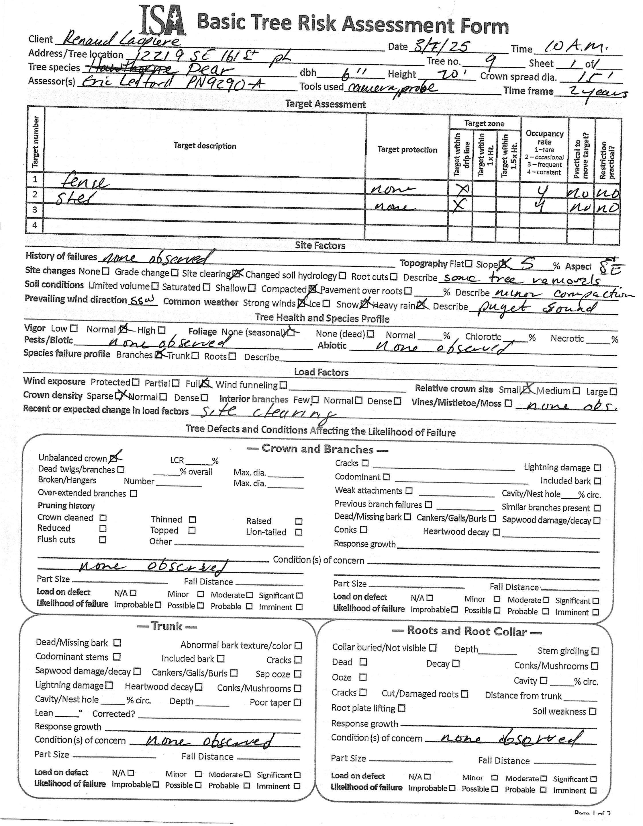🧾 Arborist Letter for Code Violation Correction – Renton, WA by Sound Tree Care LLC