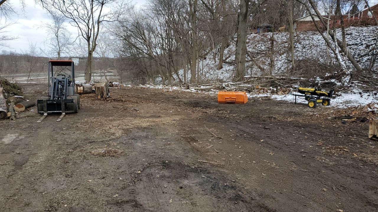 Tree Removal using Tree Removal by Mike Jones & Sons Tree Service LLC 