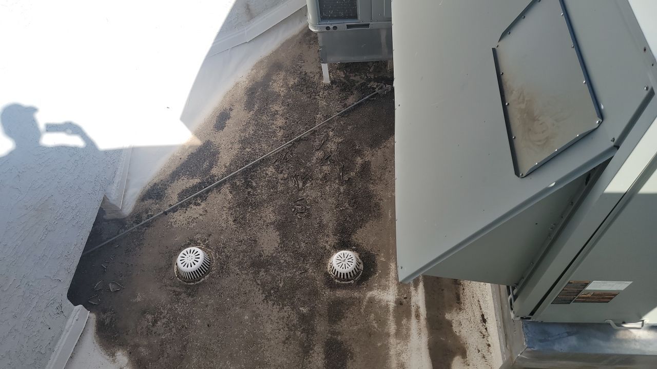 Christ The King by C&N Roofing  INC 