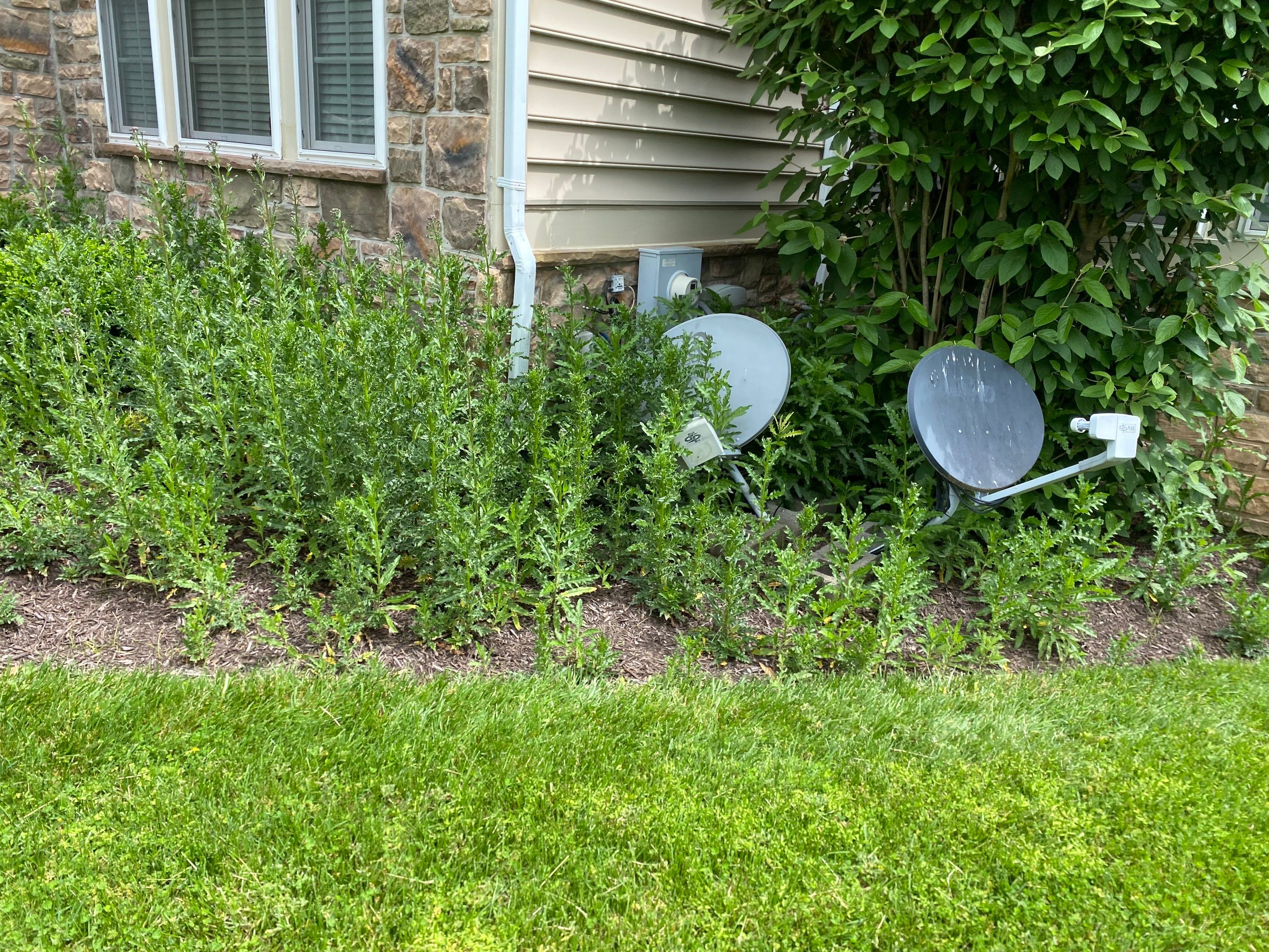 Landscape Cleanup & Mulch  by The Smet Companies, LLC