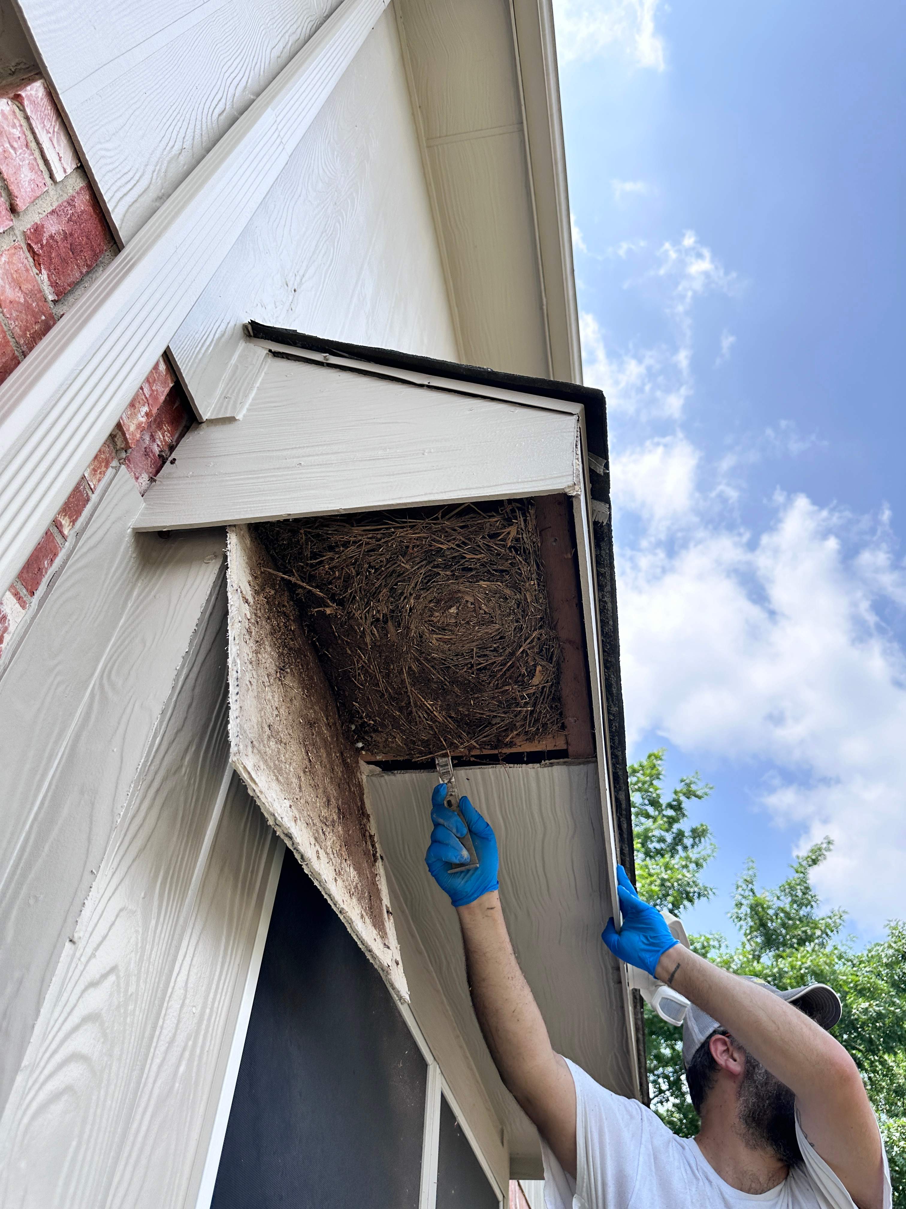 Shared Space by Rockwall Honey Bee Company