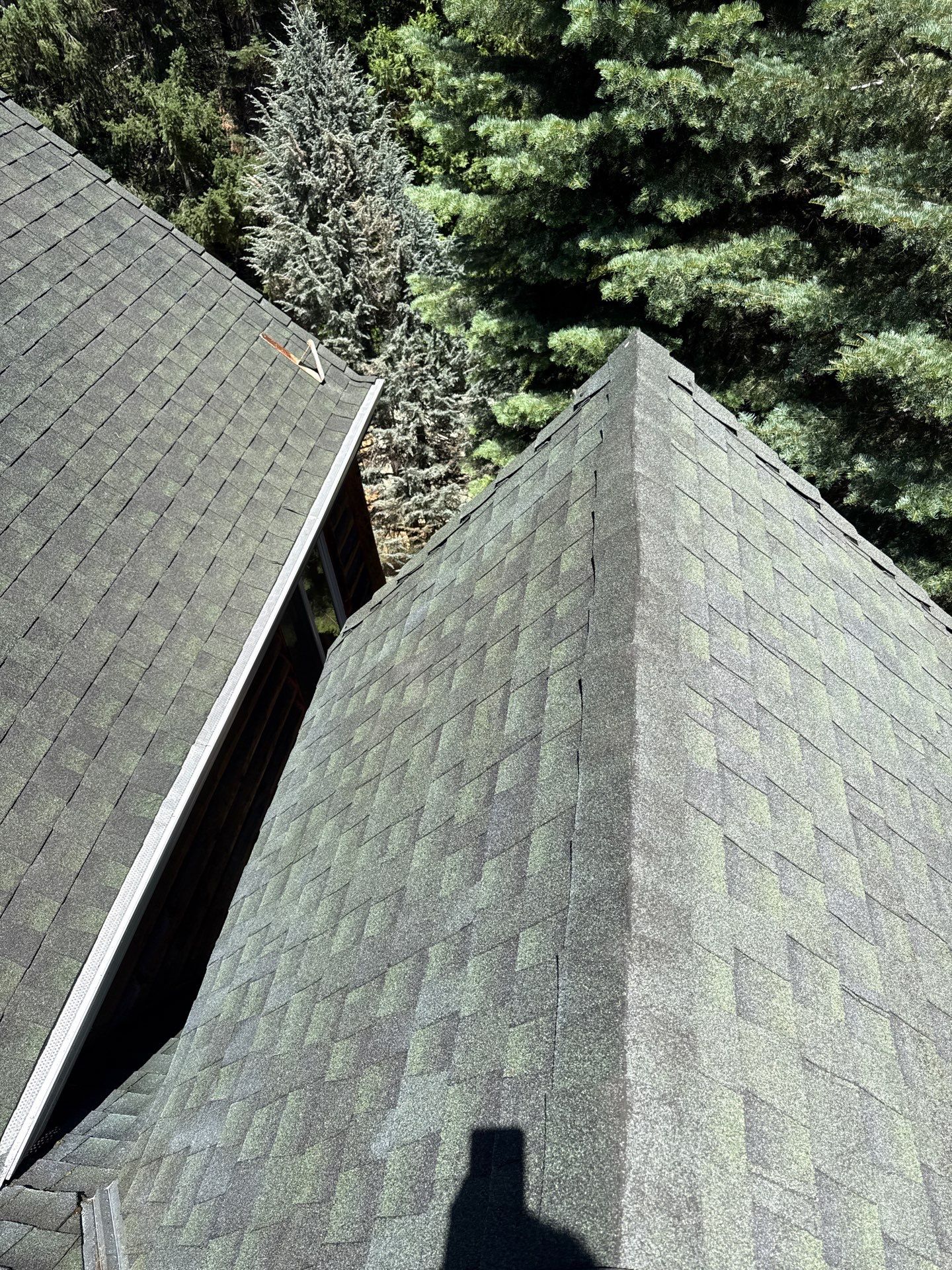 Roof Rejuvenation using Roof Maxx Treatment by Roof Maxx of Folsom