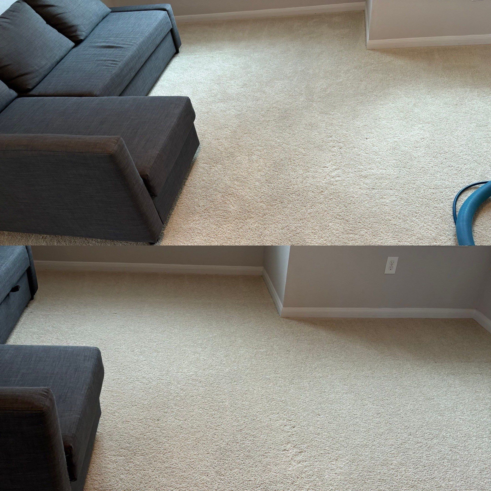 the service is carpet cleaning showing a before and after effect with a clean light-colored carpet and a sofa