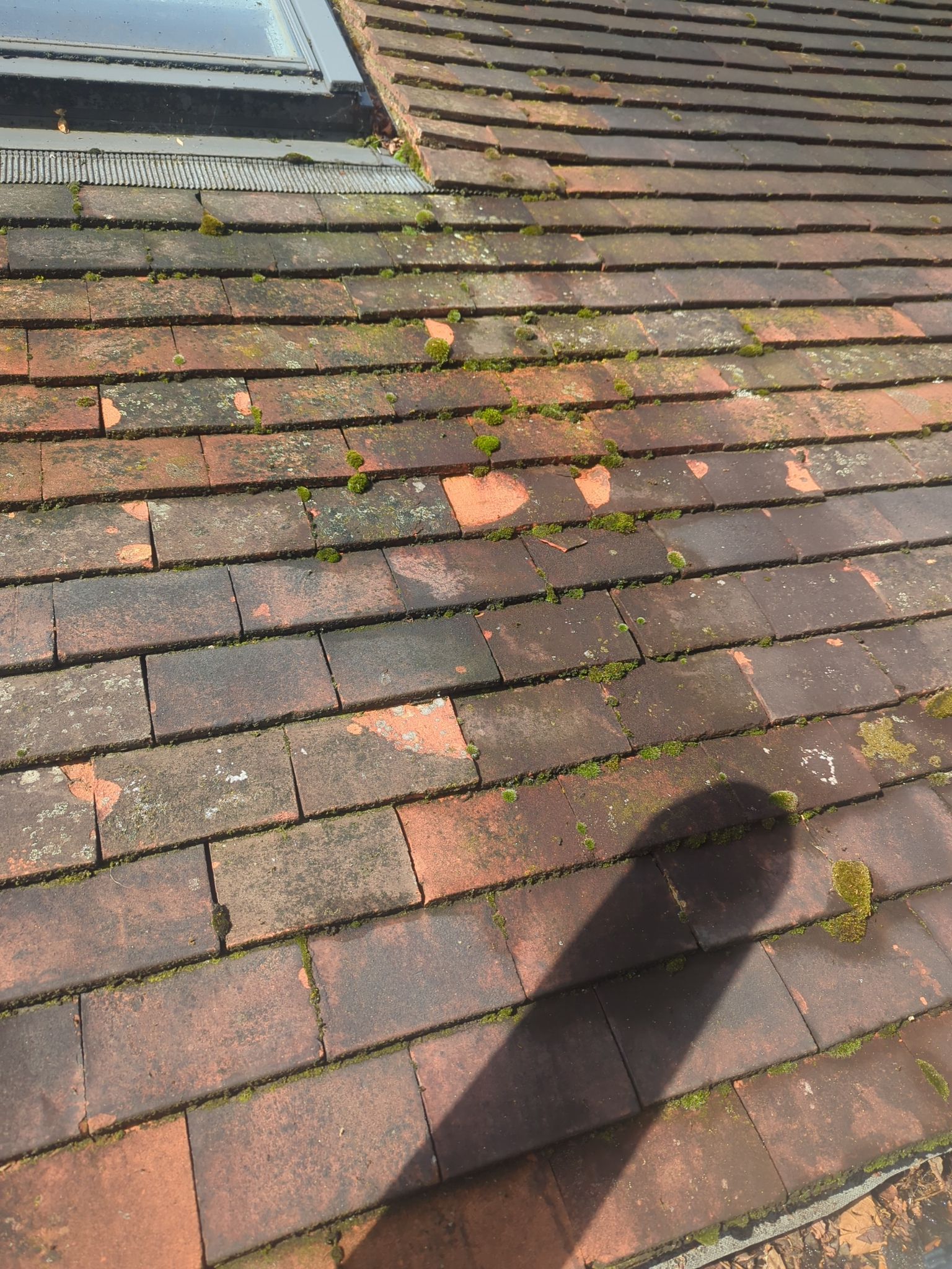 Roof Clean - Biocide Treatment using Honda 15lpm Low Pressure Washing Machine by Ges Exterior Cleaning ltd