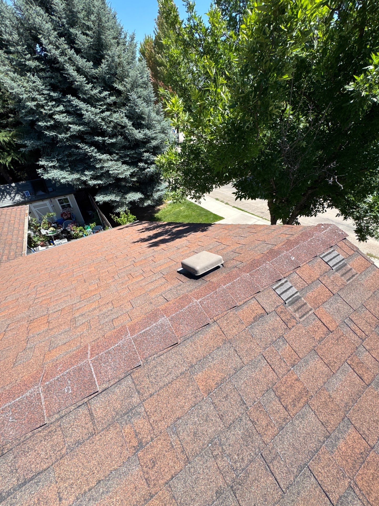 Boise Commercial Roof Replacement with Brown Architectural Shingles by Olive Roofing