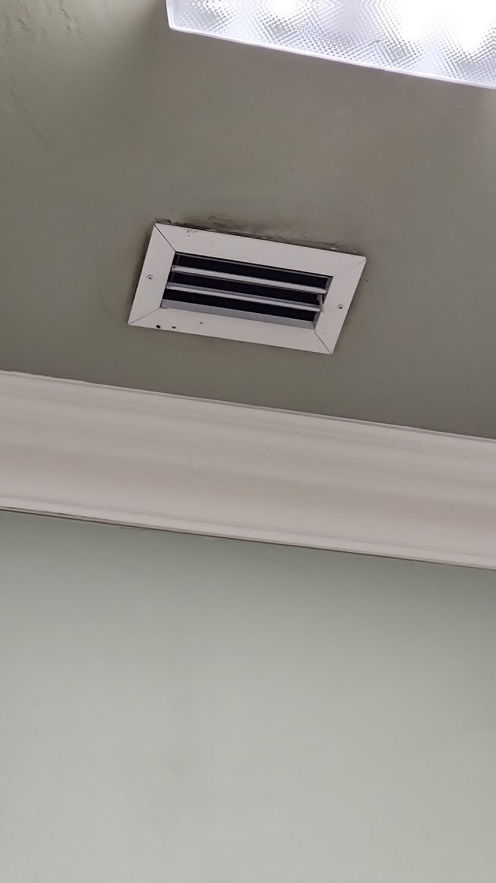 HVAC MOLD ASSESMENT by Building performance Solutions LLC