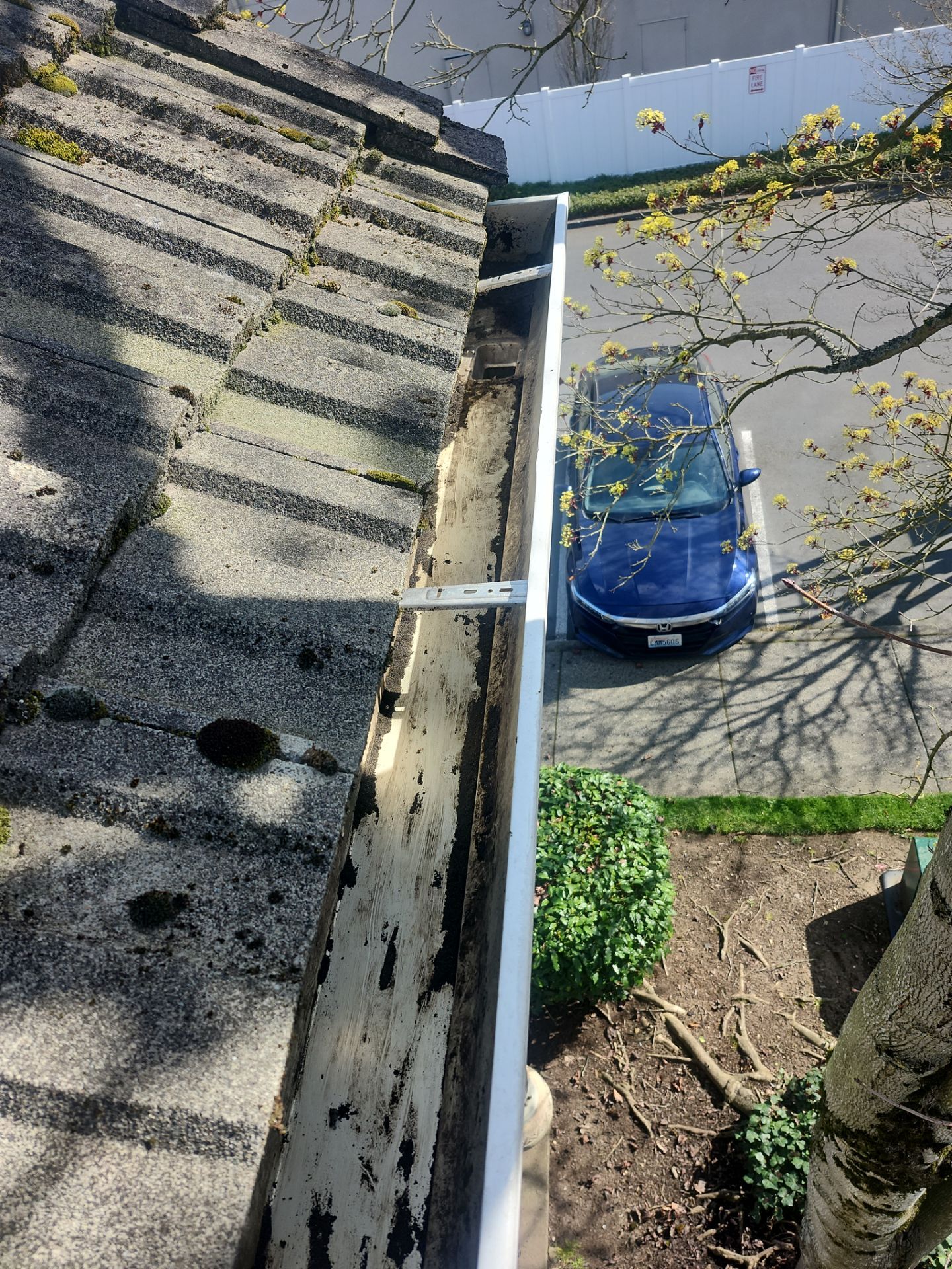 HOA gutter cleaning after photo.