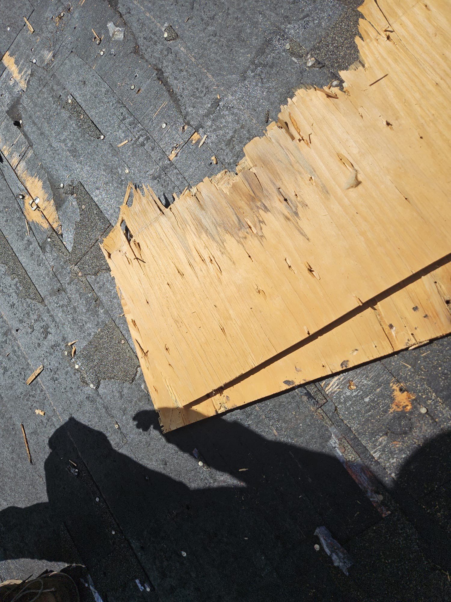 Shingle Roof Replacement by Four Peaks Roofing