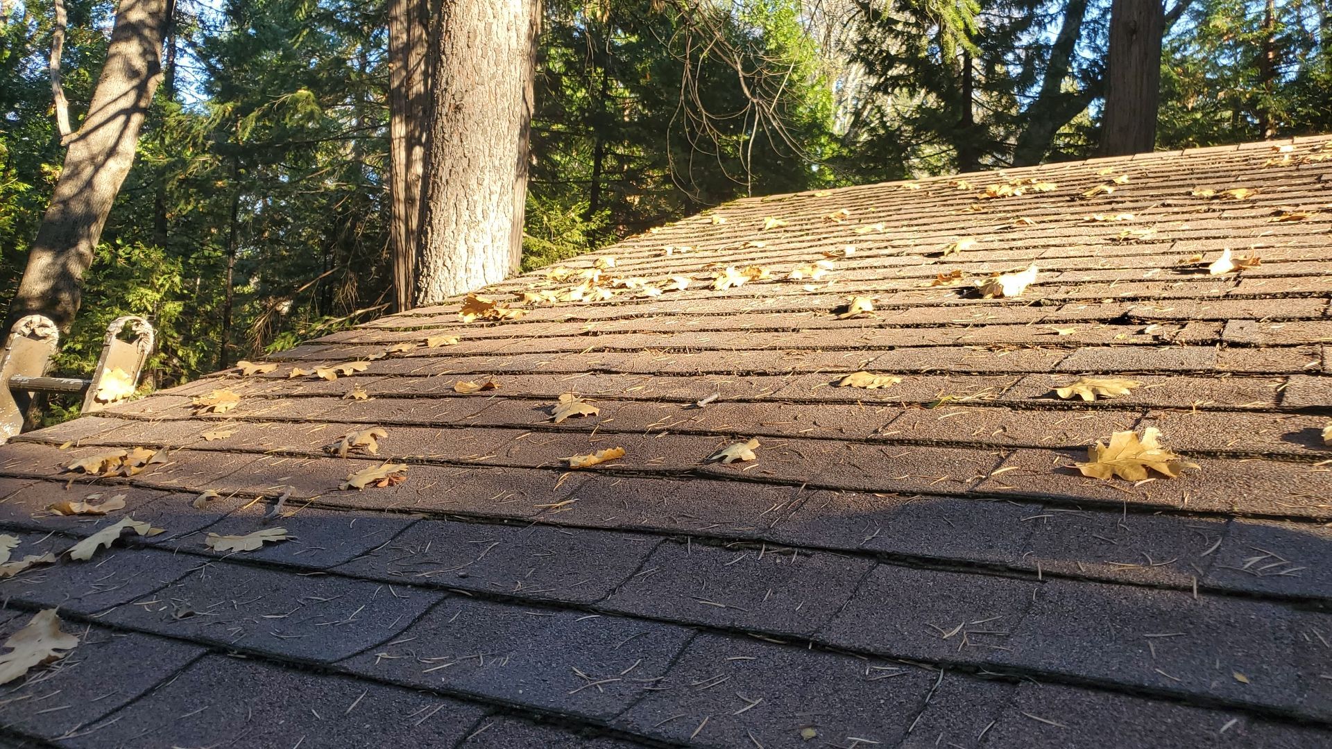 Residential Roofing Installation using Owens Corning Roofing Shingles by Byers Enterprises 