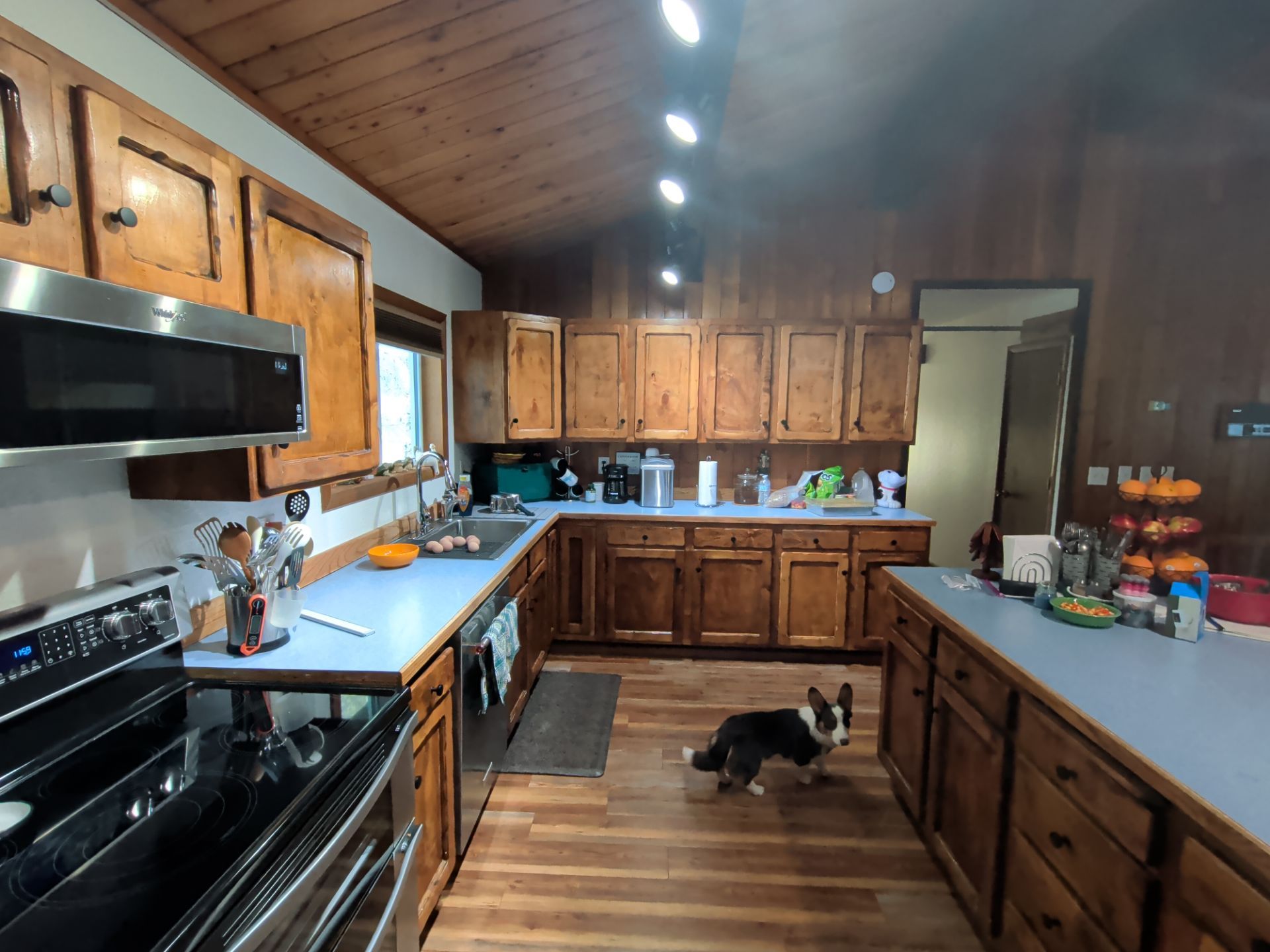 Beautiful Home Update! by Midnight Sun Painting