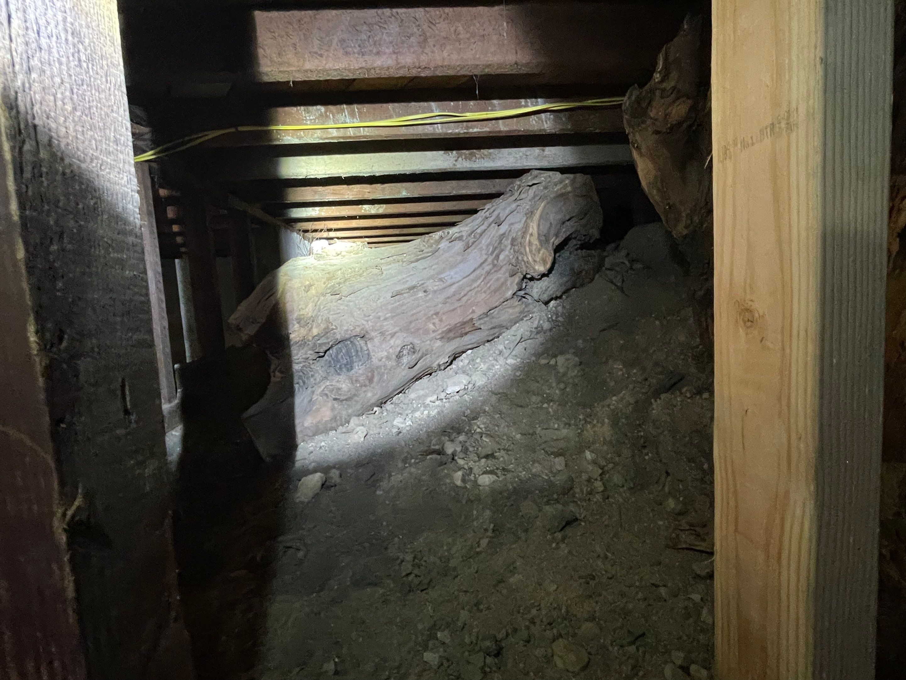 Wood Destroying Organisms Report by GLOBAL Termite Solutions