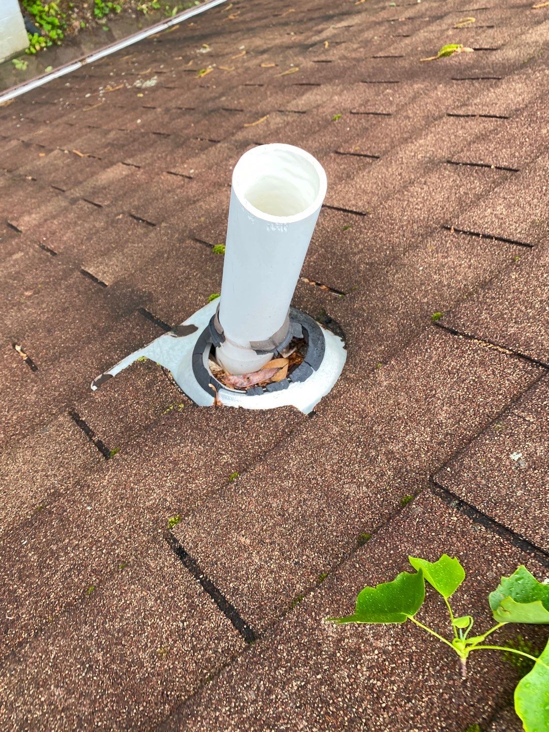 Arlington: CertainTeed Landmark Pro Designer Shingles in Max Def Shenandoah by RM Banning, Inc.