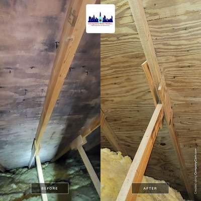 Attic Mold Remediation
