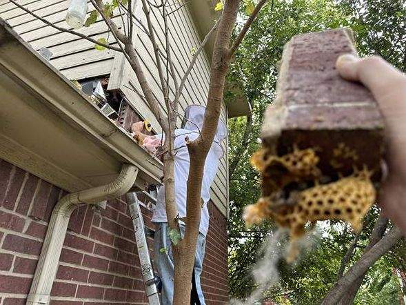 Between Floors by Rockwall Honey Bee Company