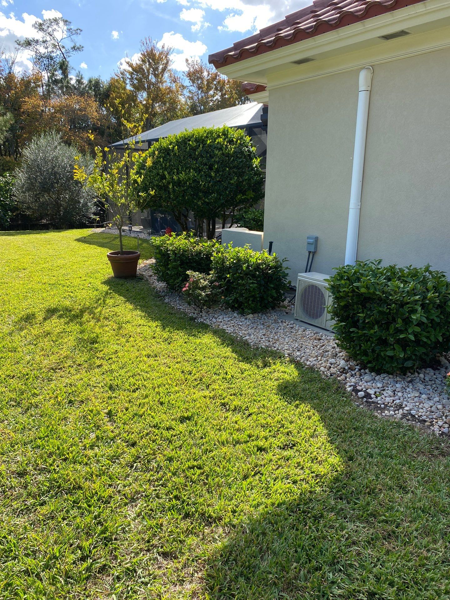 Deerwood Resident | Palm Trimming & Ground Cover by ProGreen Services