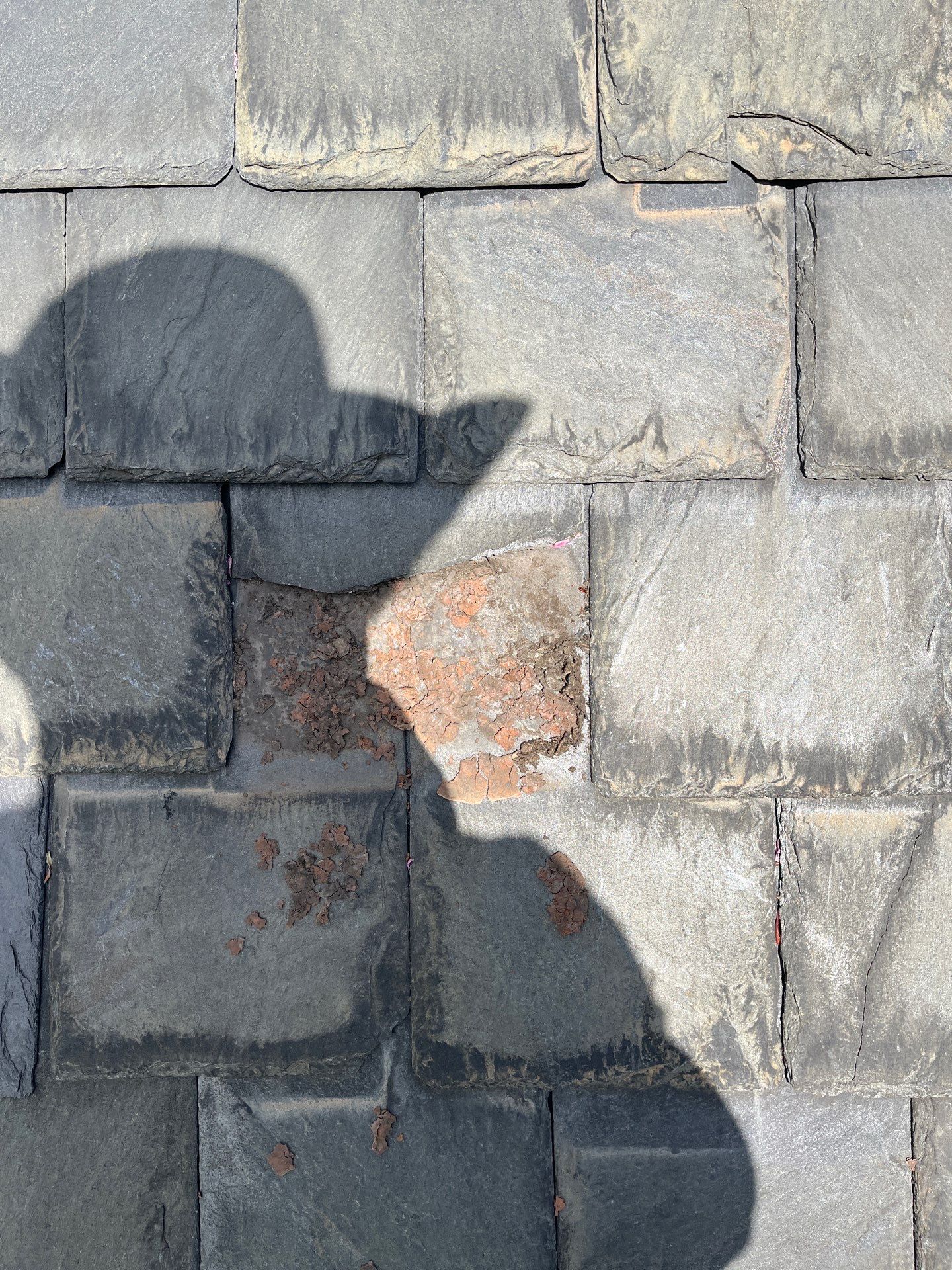 Arlington: Buckingham Slate and Carlisle Syntec TPO Roof by RM Banning, Inc.